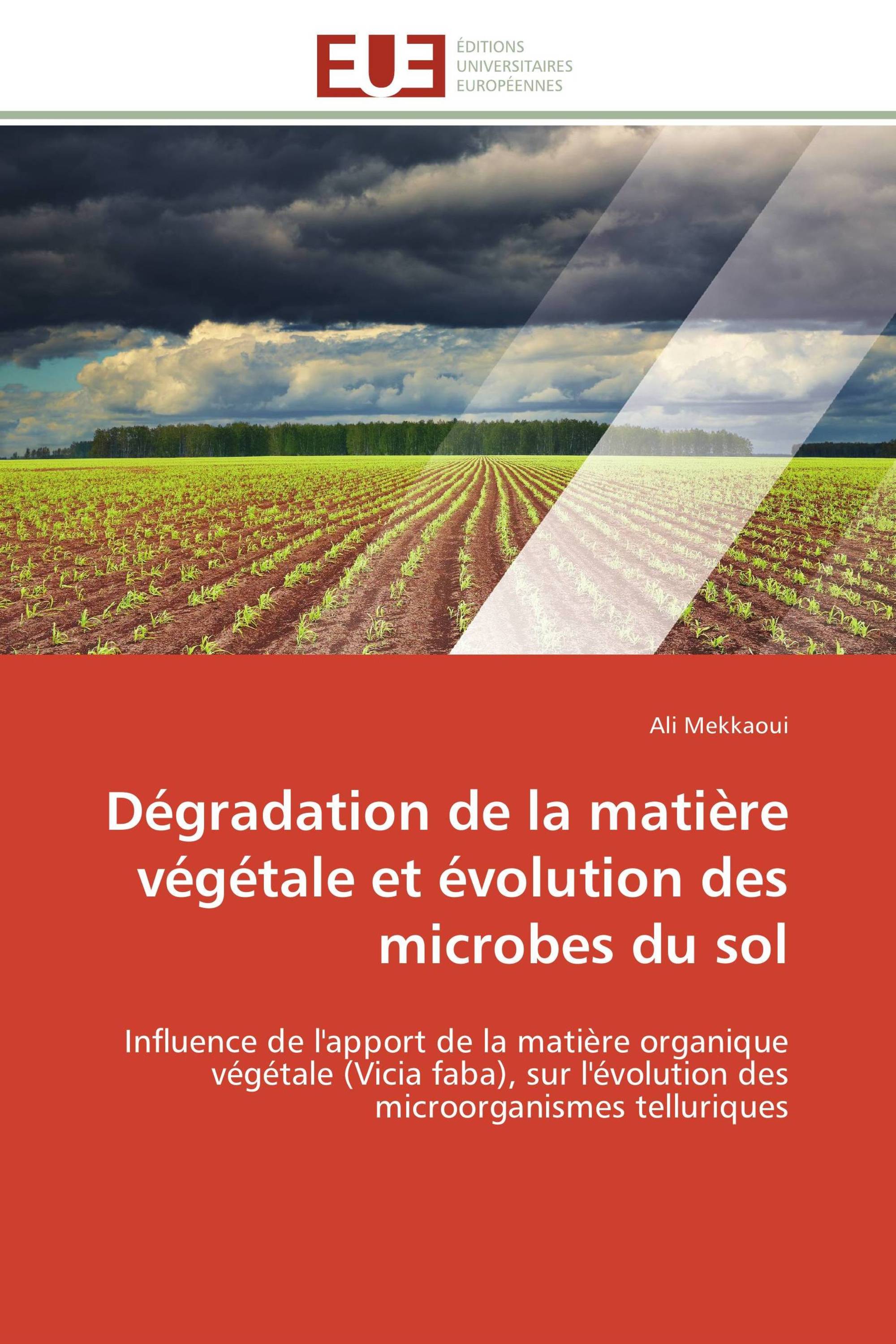 Dégradation de la matière végétale et évolution des microbes du sol