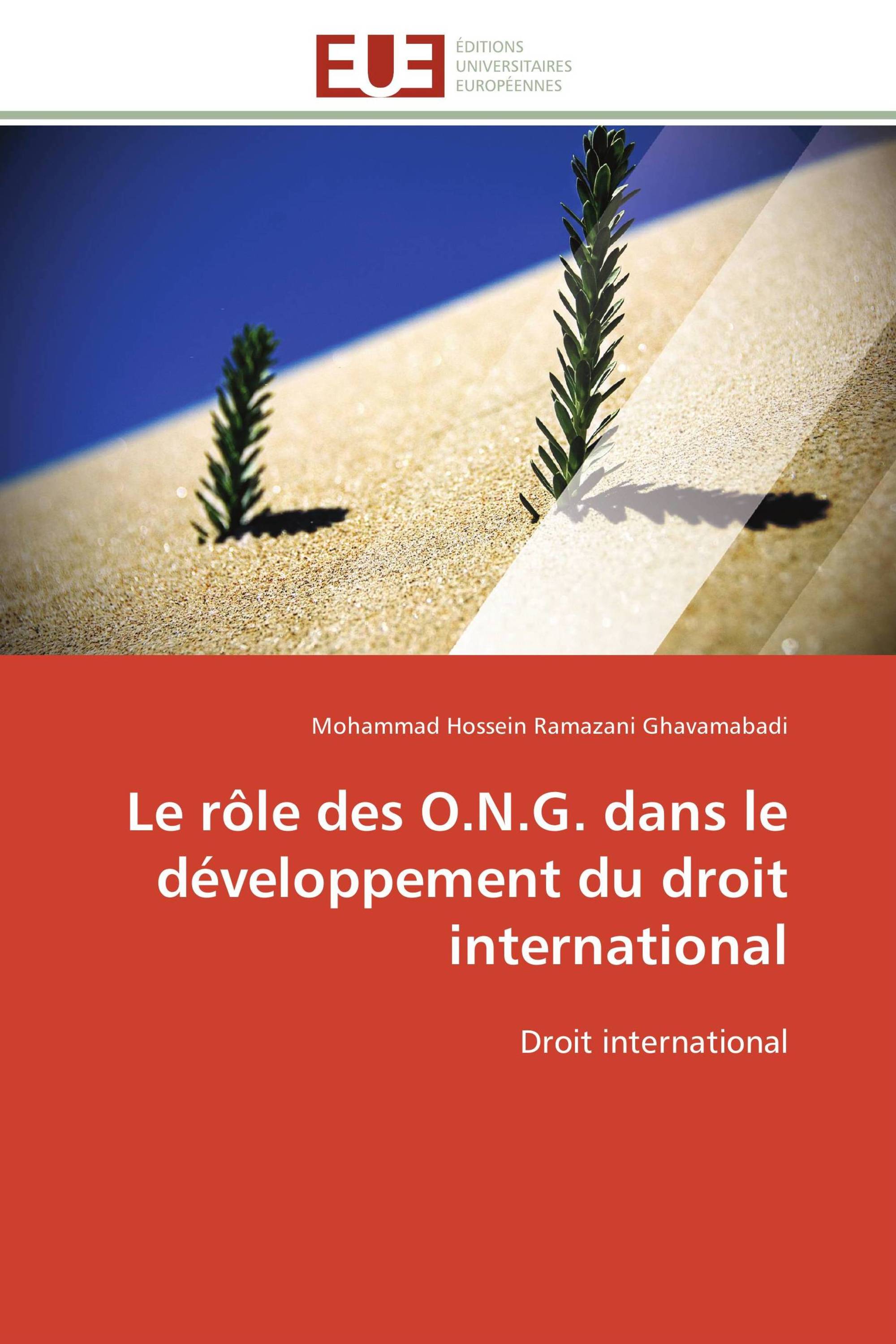 Le rôle des O.N.G. dans le développement du droit international