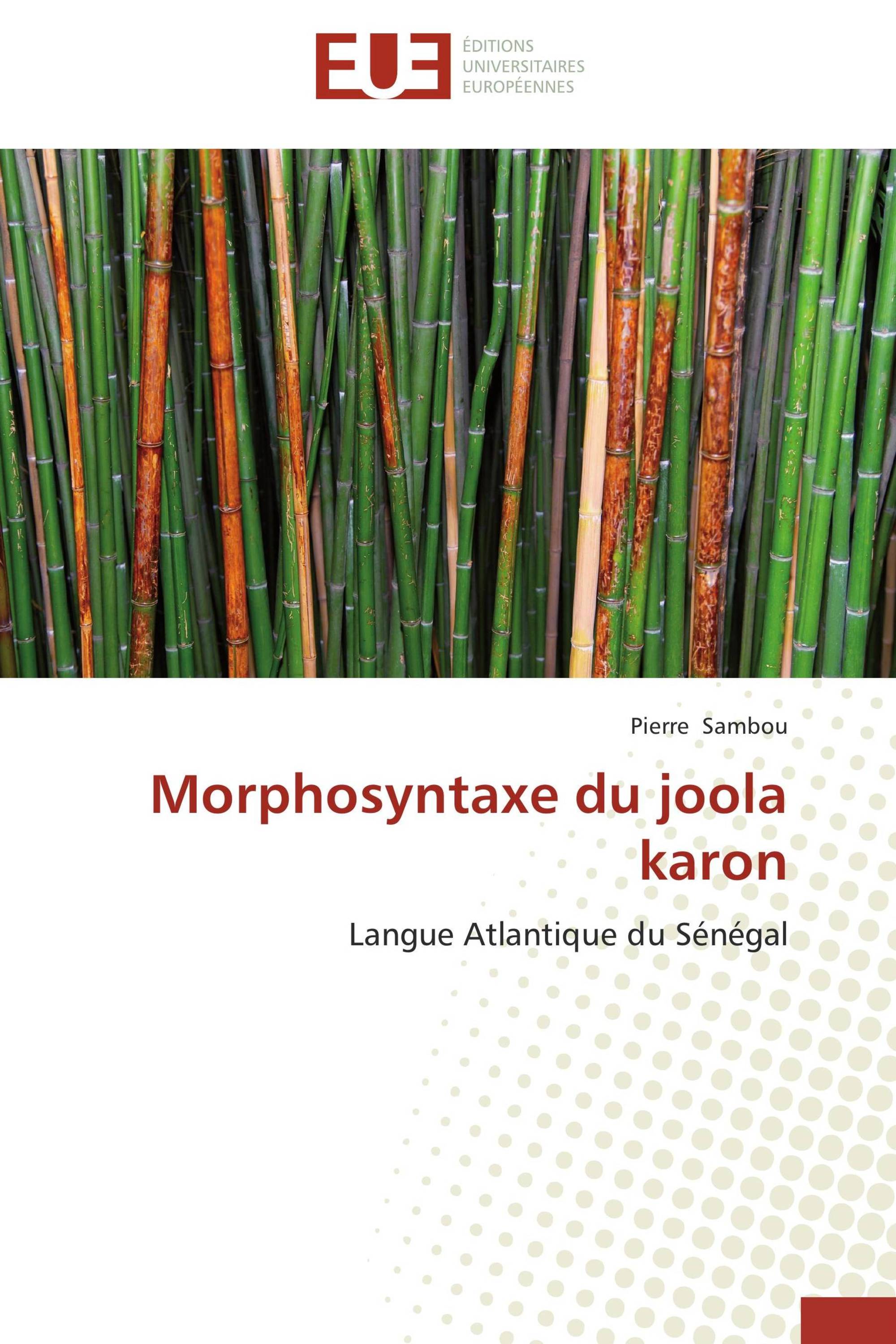 Morphosyntaxe du joola karon