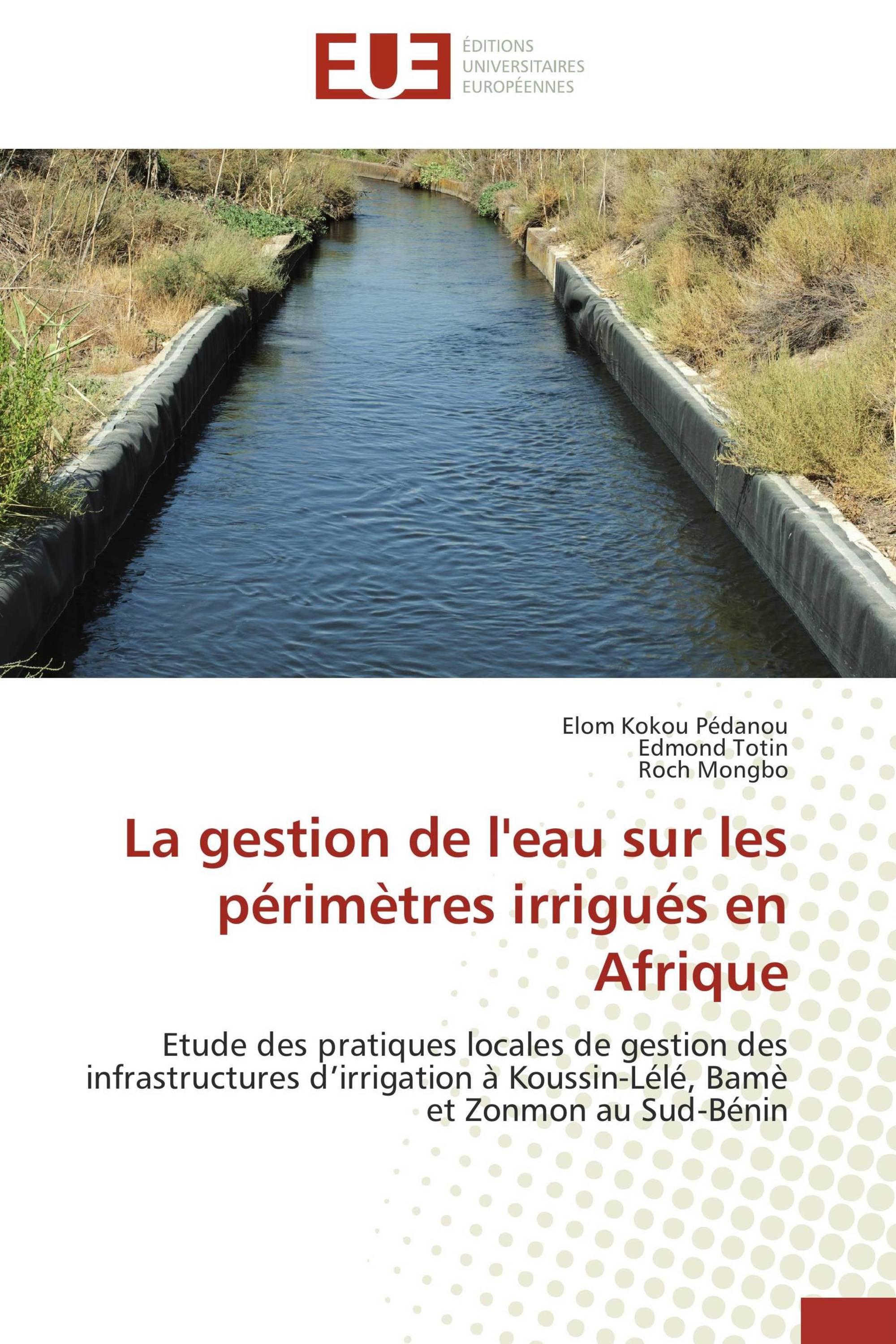 La gestion de l'eau sur les périmètres irrigués en Afrique