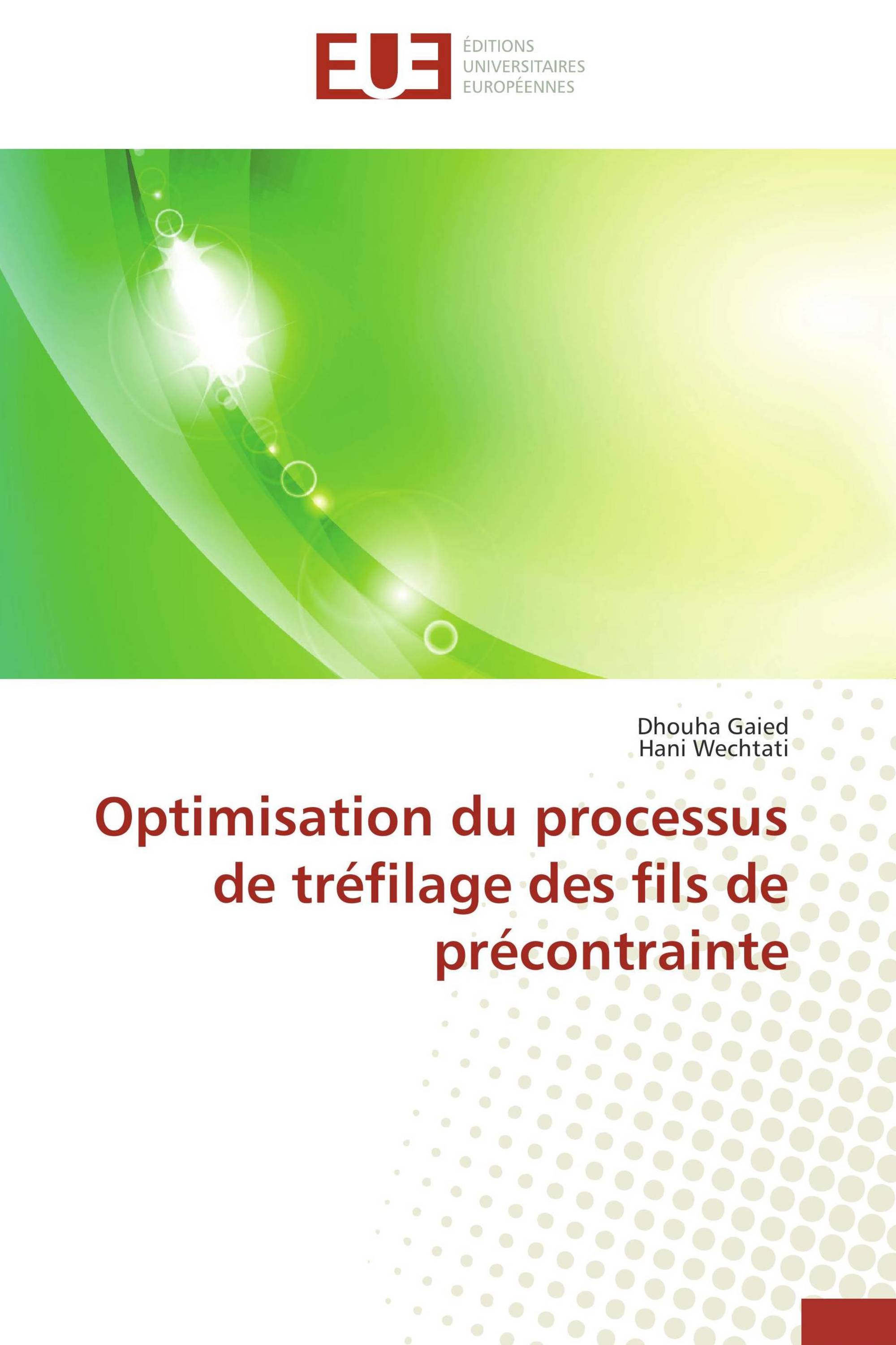 Optimisation du processus de tréfilage des fils de précontrainte