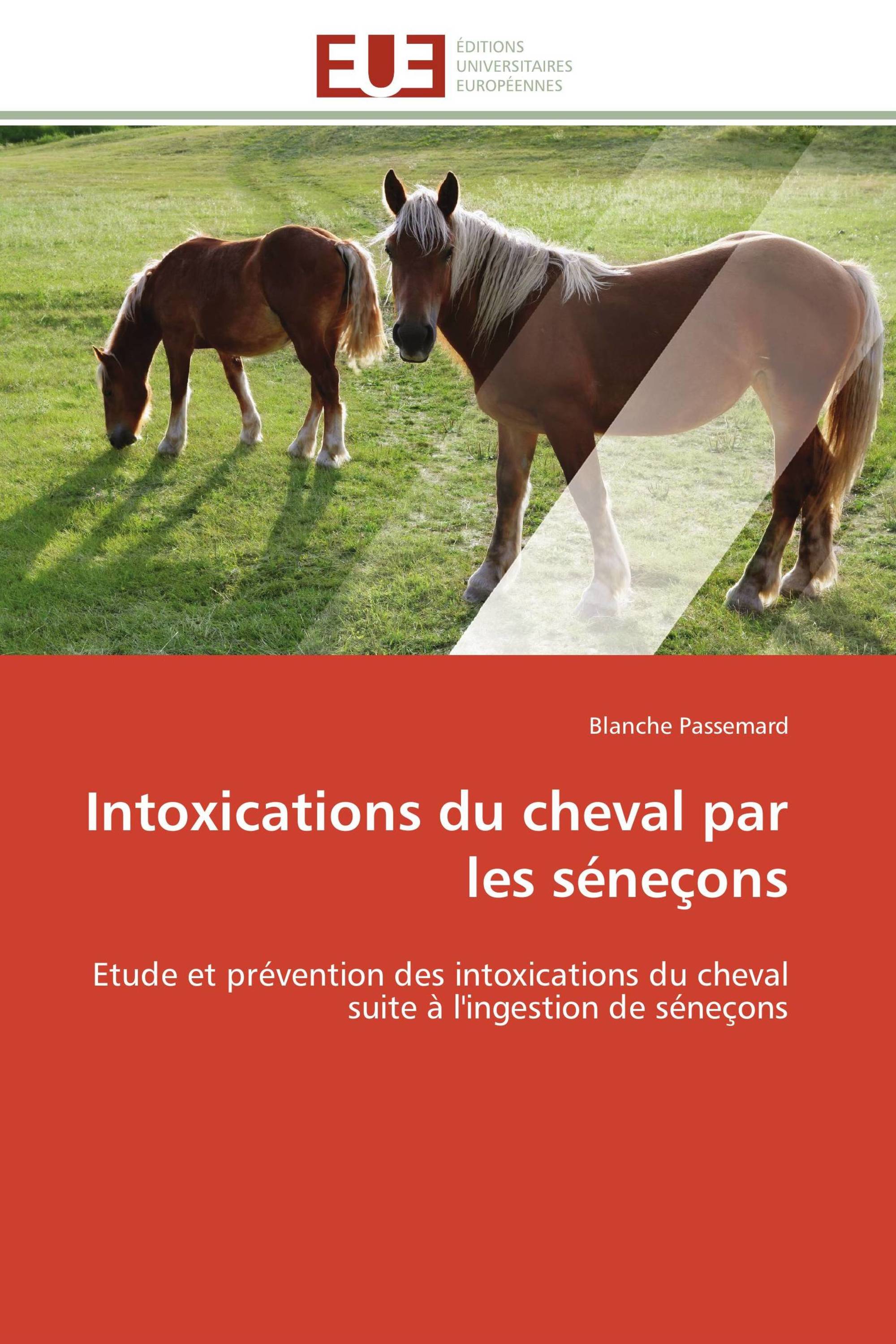 Intoxications du cheval par les séneçons