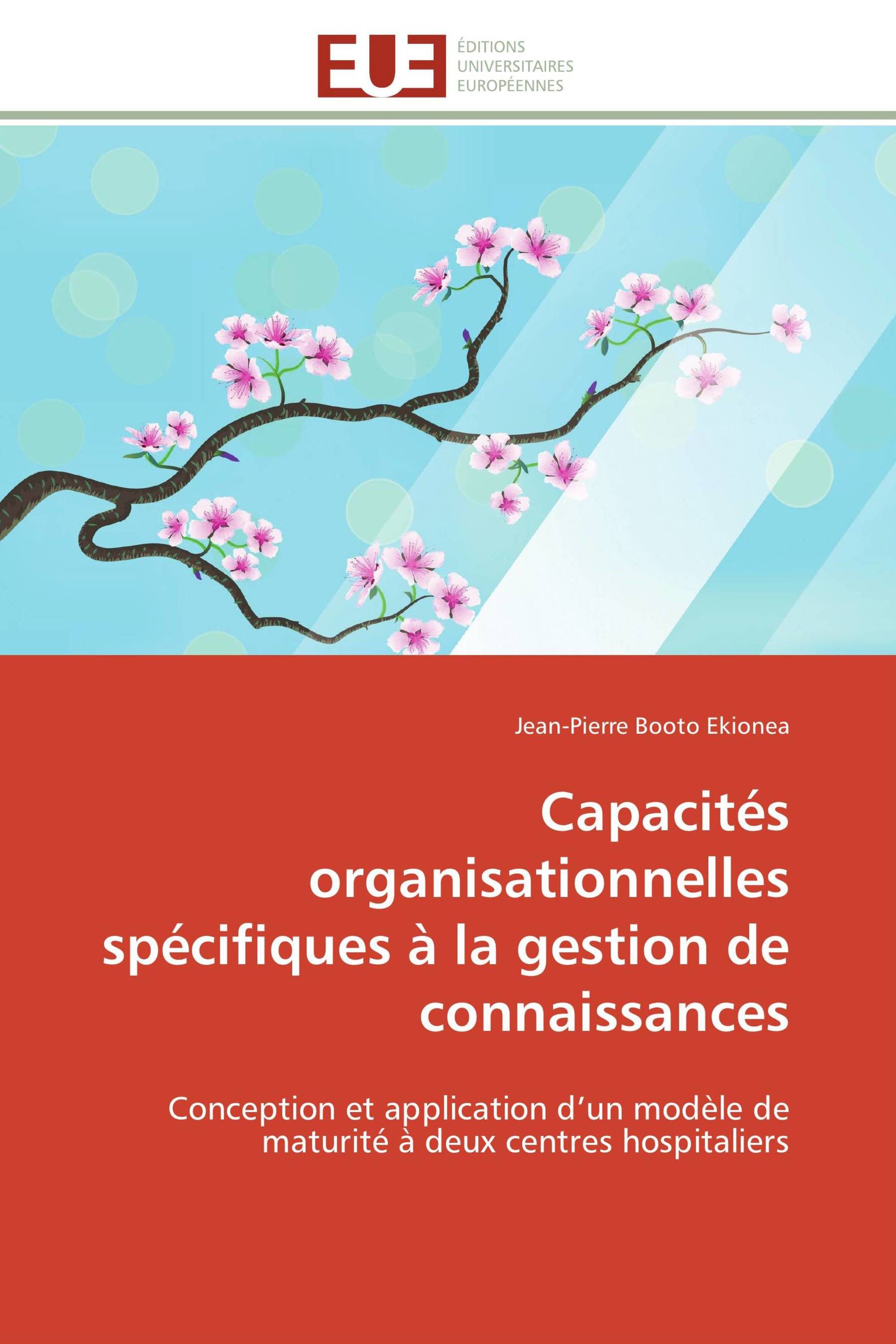 Capacités organisationnelles spécifiques à la gestion de connaissances