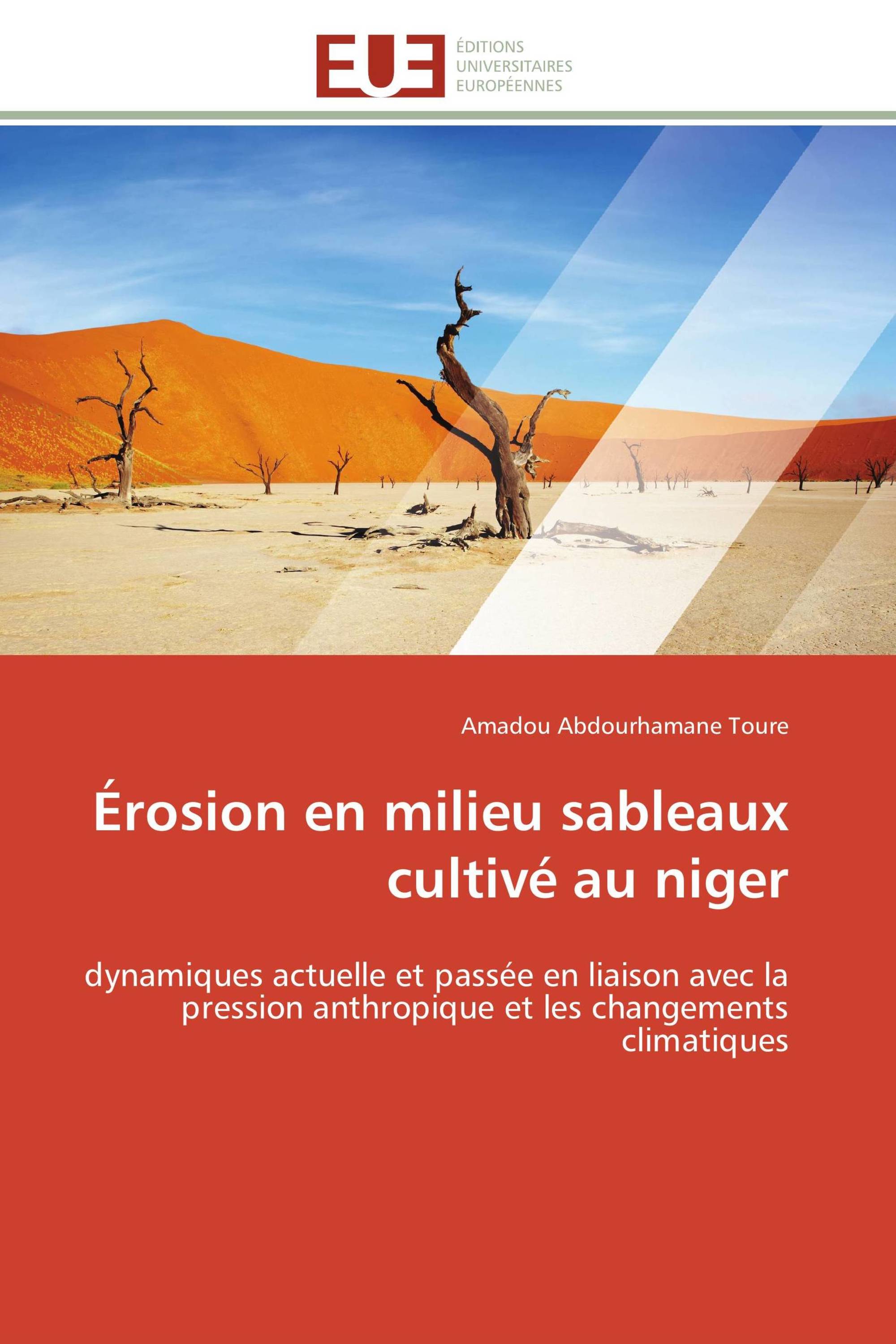 Érosion en milieu sableaux cultivé au niger