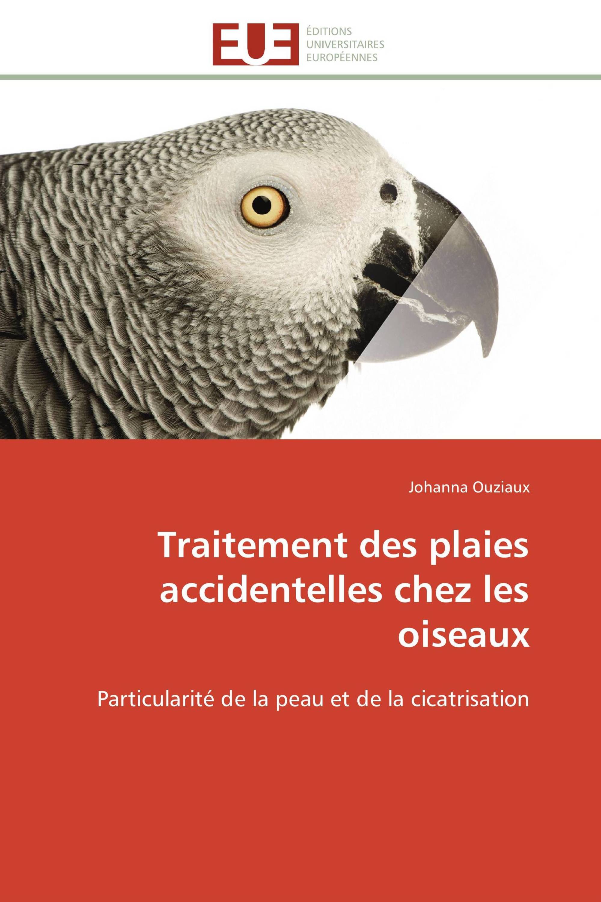 Traitement des plaies accidentelles chez les oiseaux