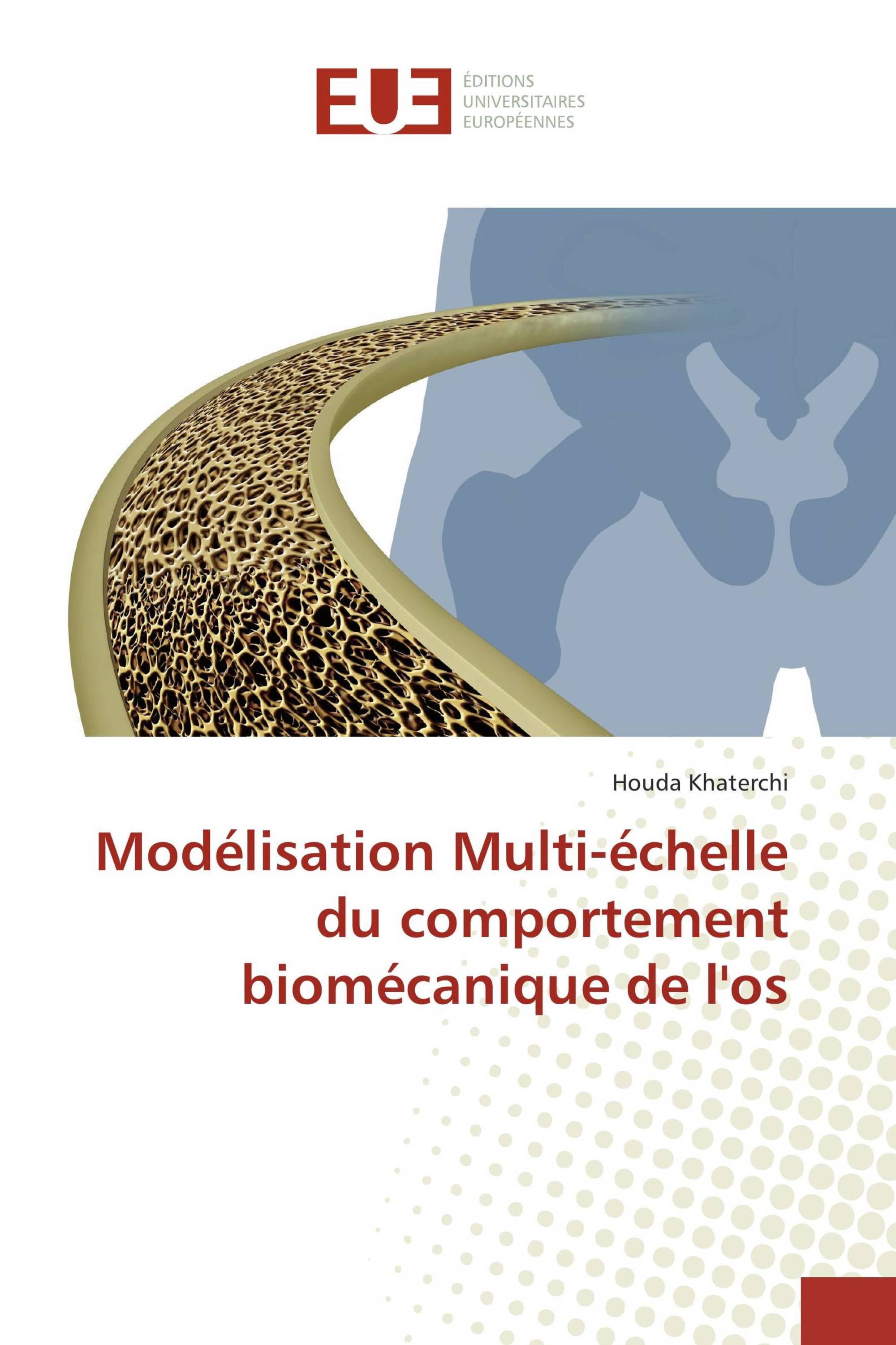 Modélisation Multi-échelle du comportement biomécanique de l'os