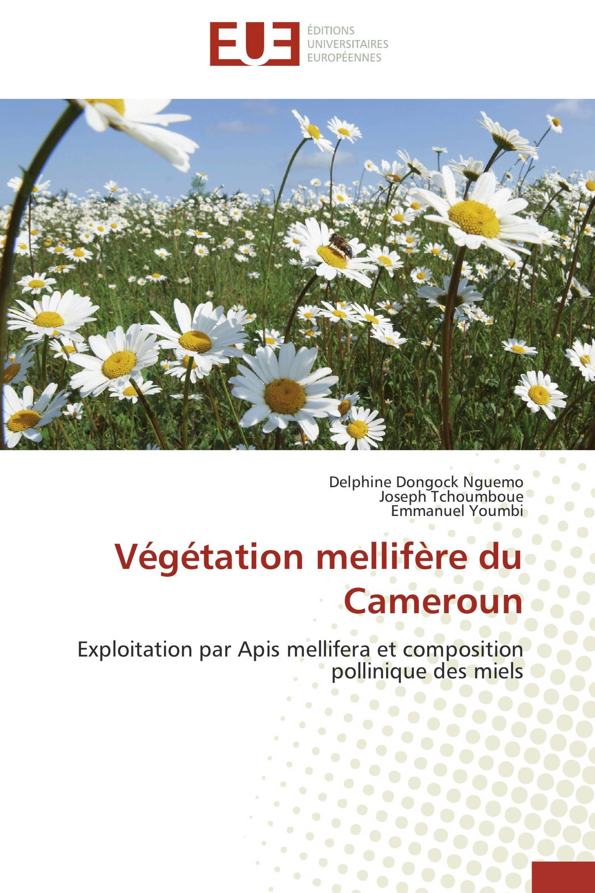 Végétation mellifère du Cameroun