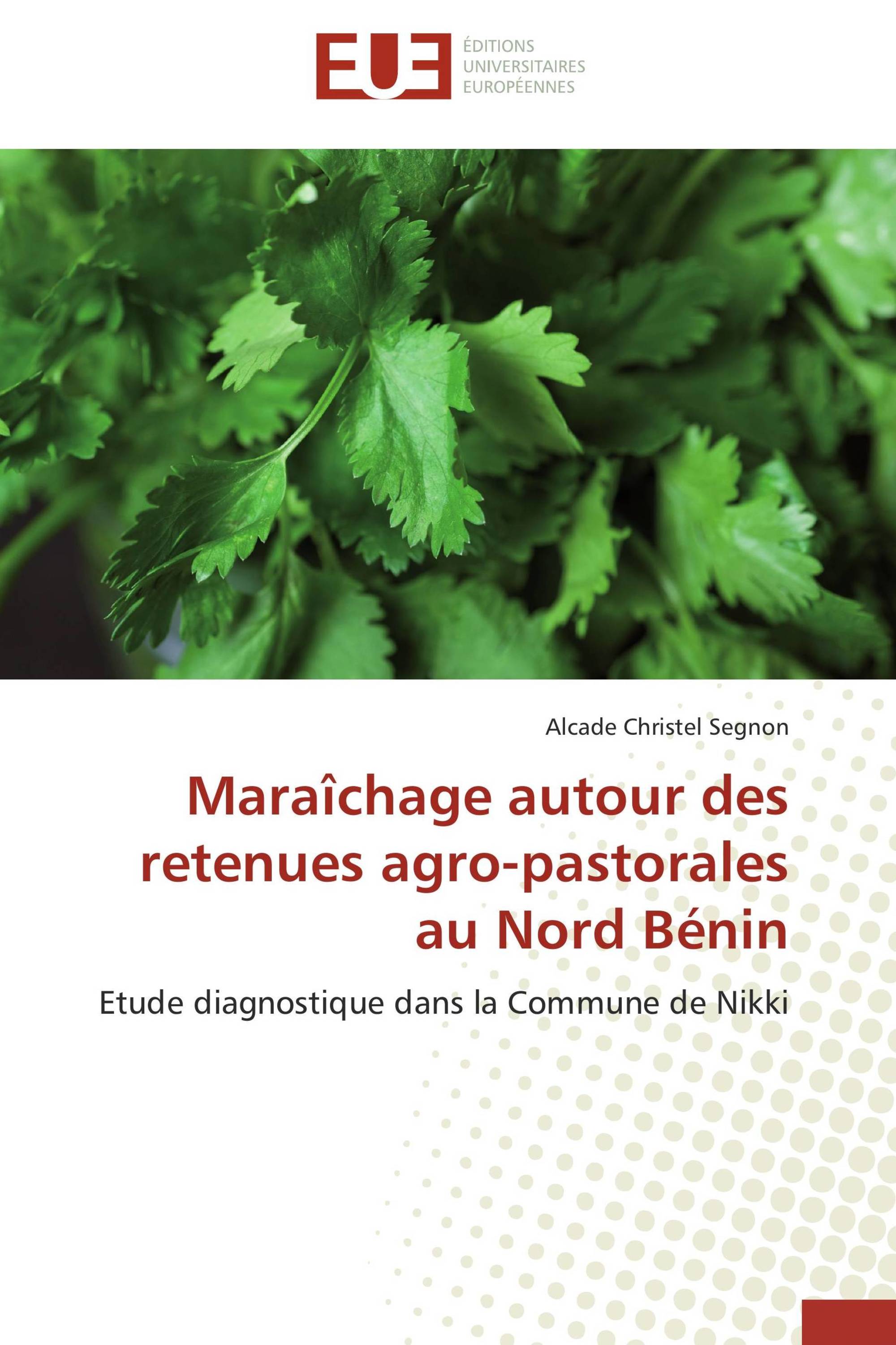 Maraîchage autour des retenues agro-pastorales au Nord Bénin