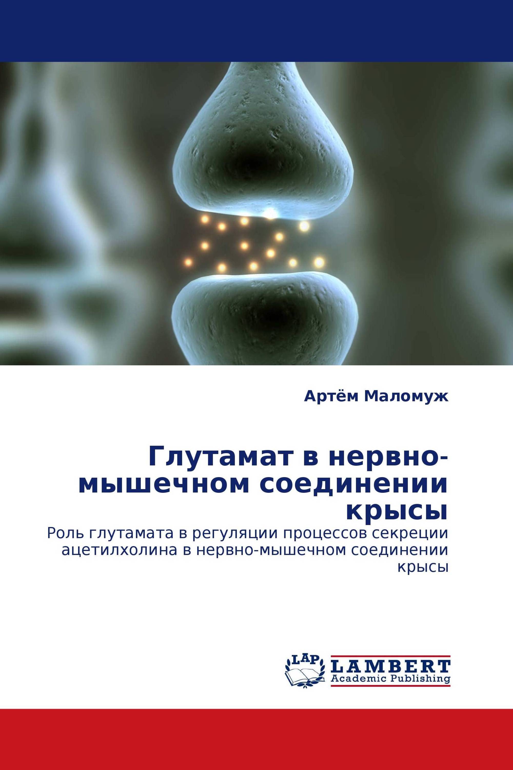 Глутамат в нервно-мышечном соединении крысы