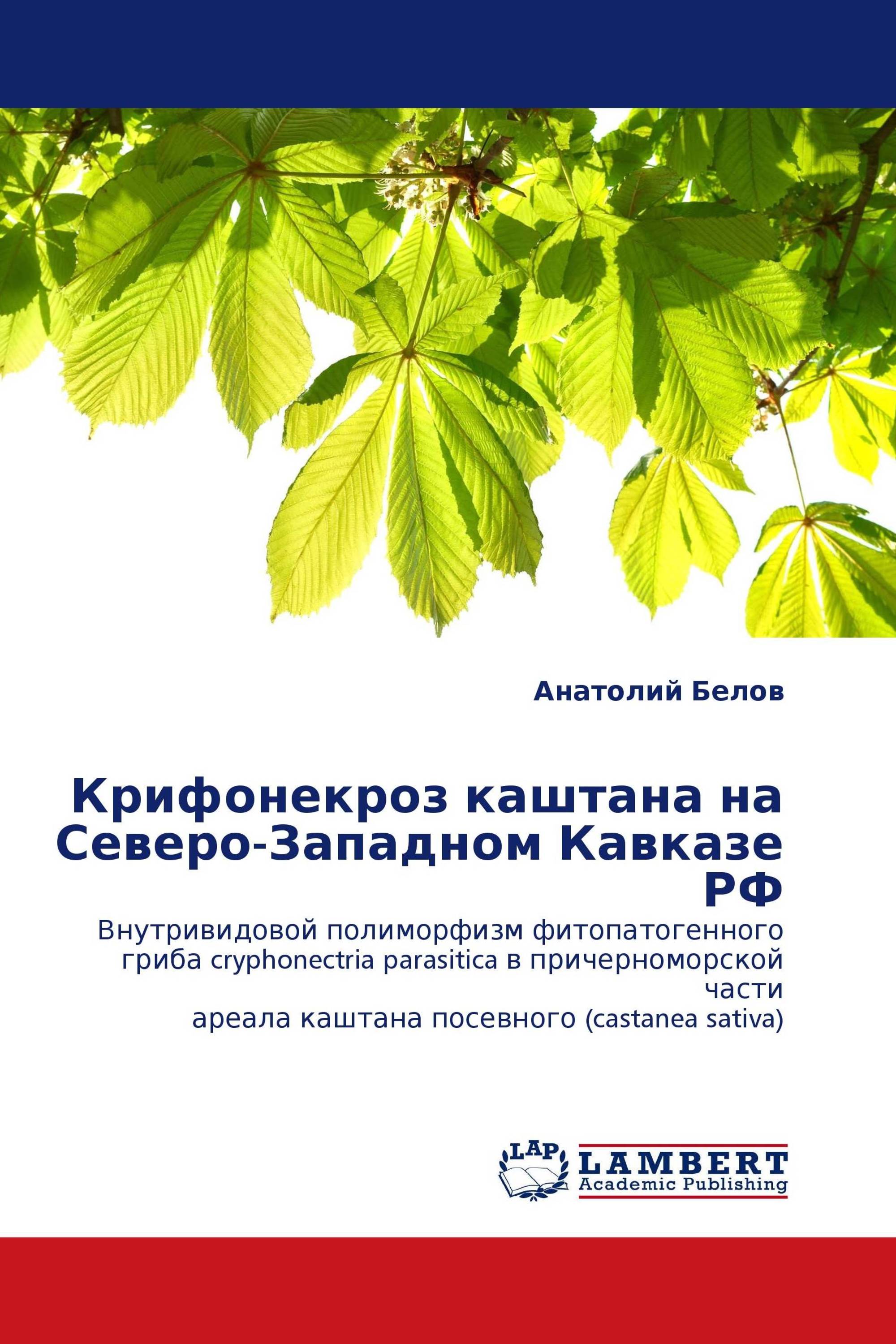 Крифонекроз каштана на Северо-Западном Кавказе РФ