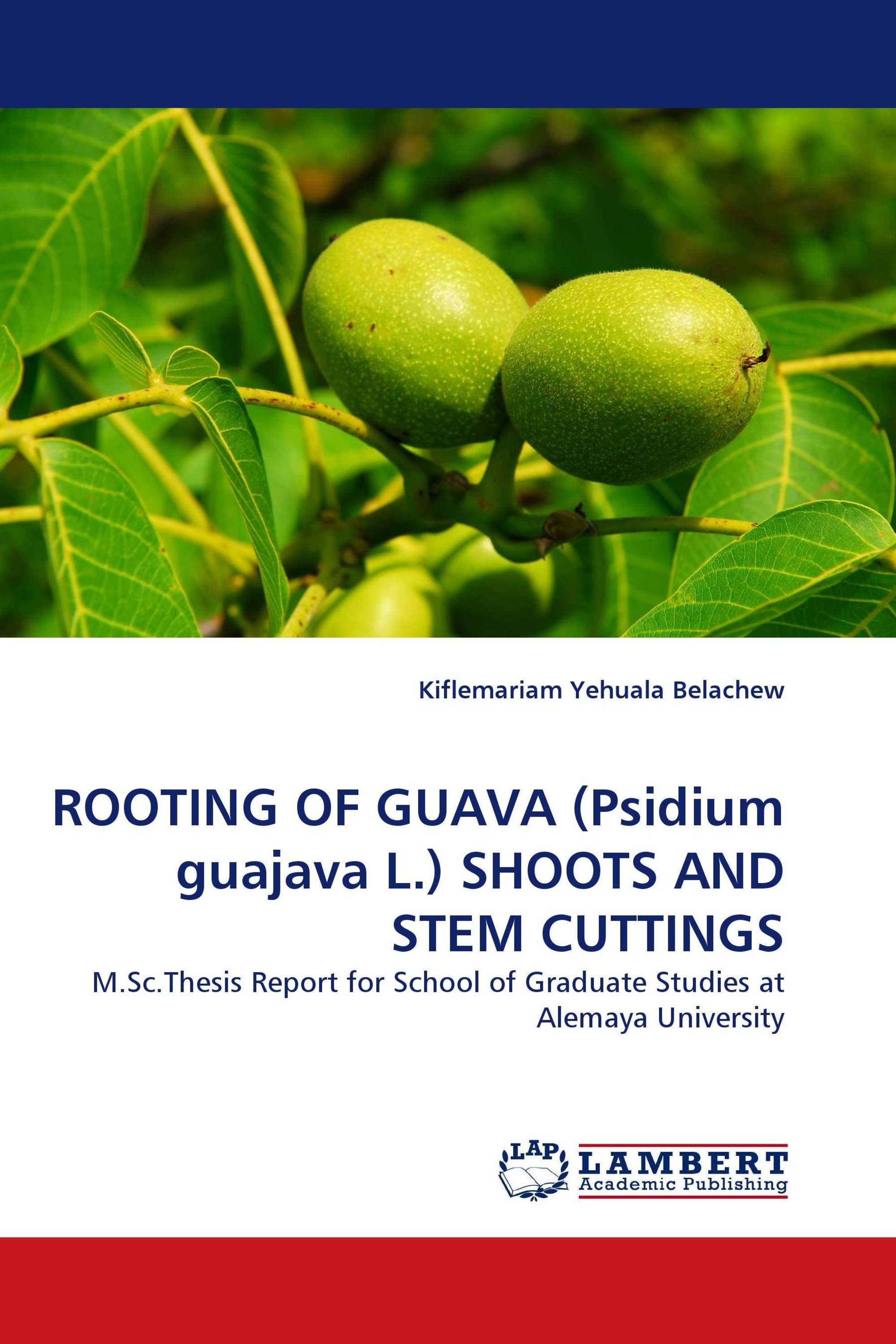 ROOTING OF GUAVA (Psidium guajava L.) SHOOTS AND STEM CUTTINGS