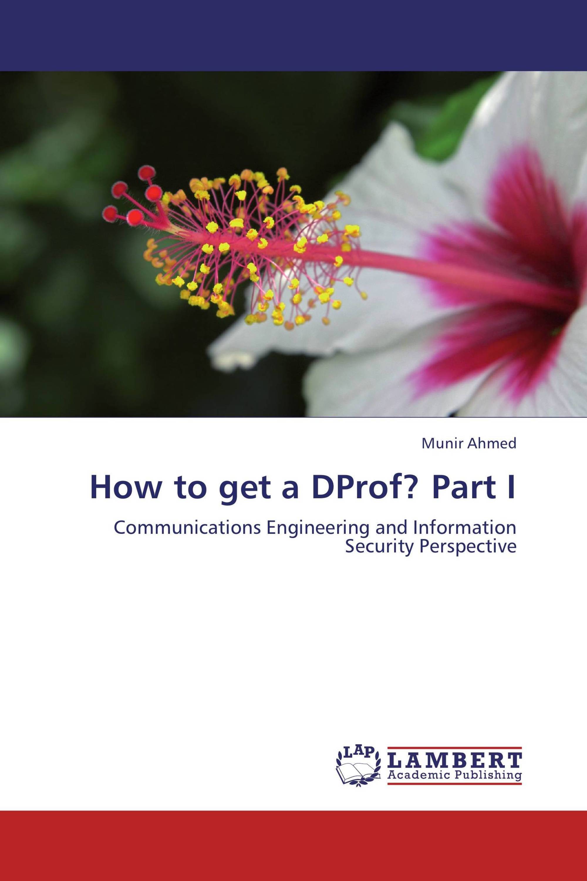 How to get a DProf? Part I