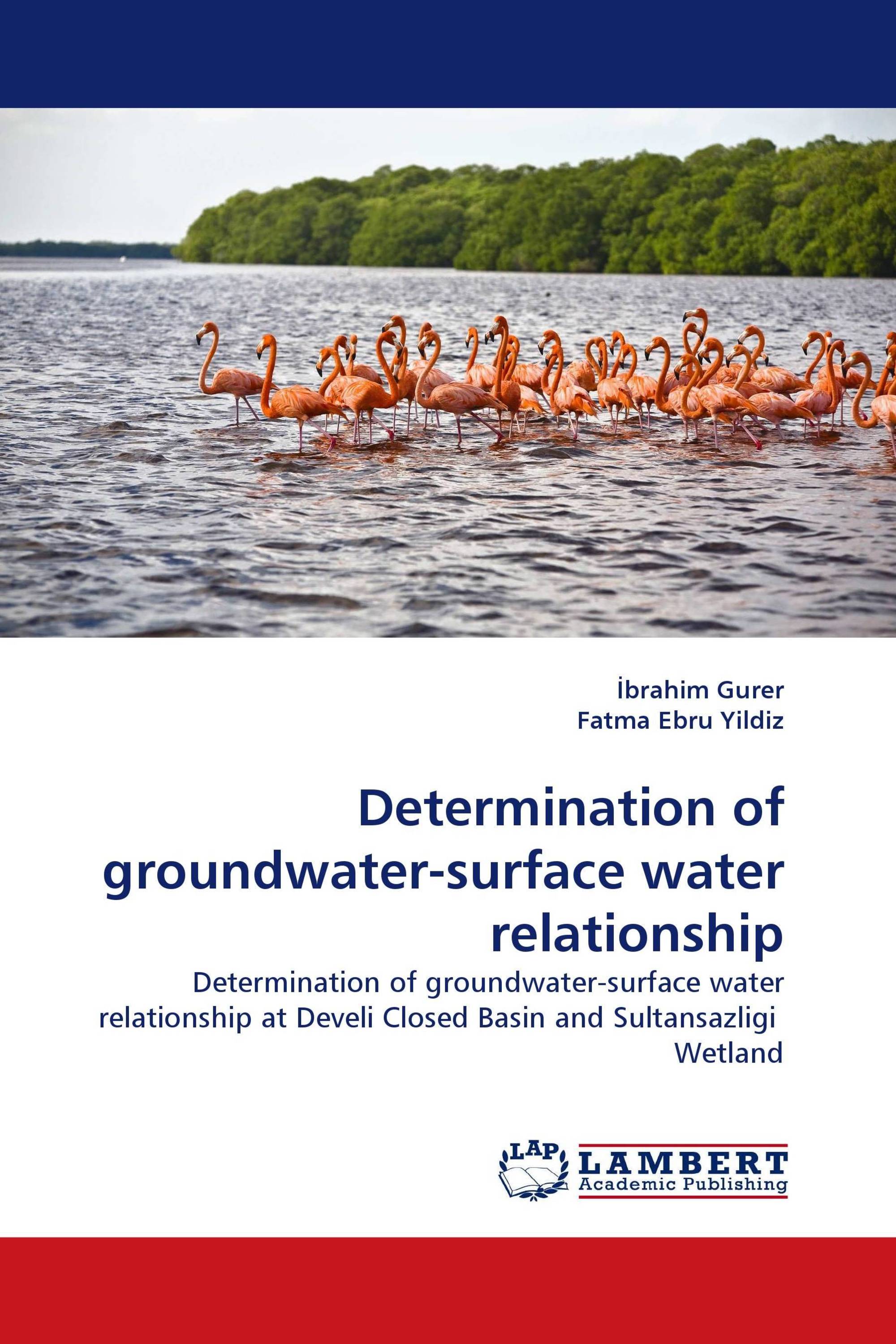 Determination of groundwater-surface water relationship