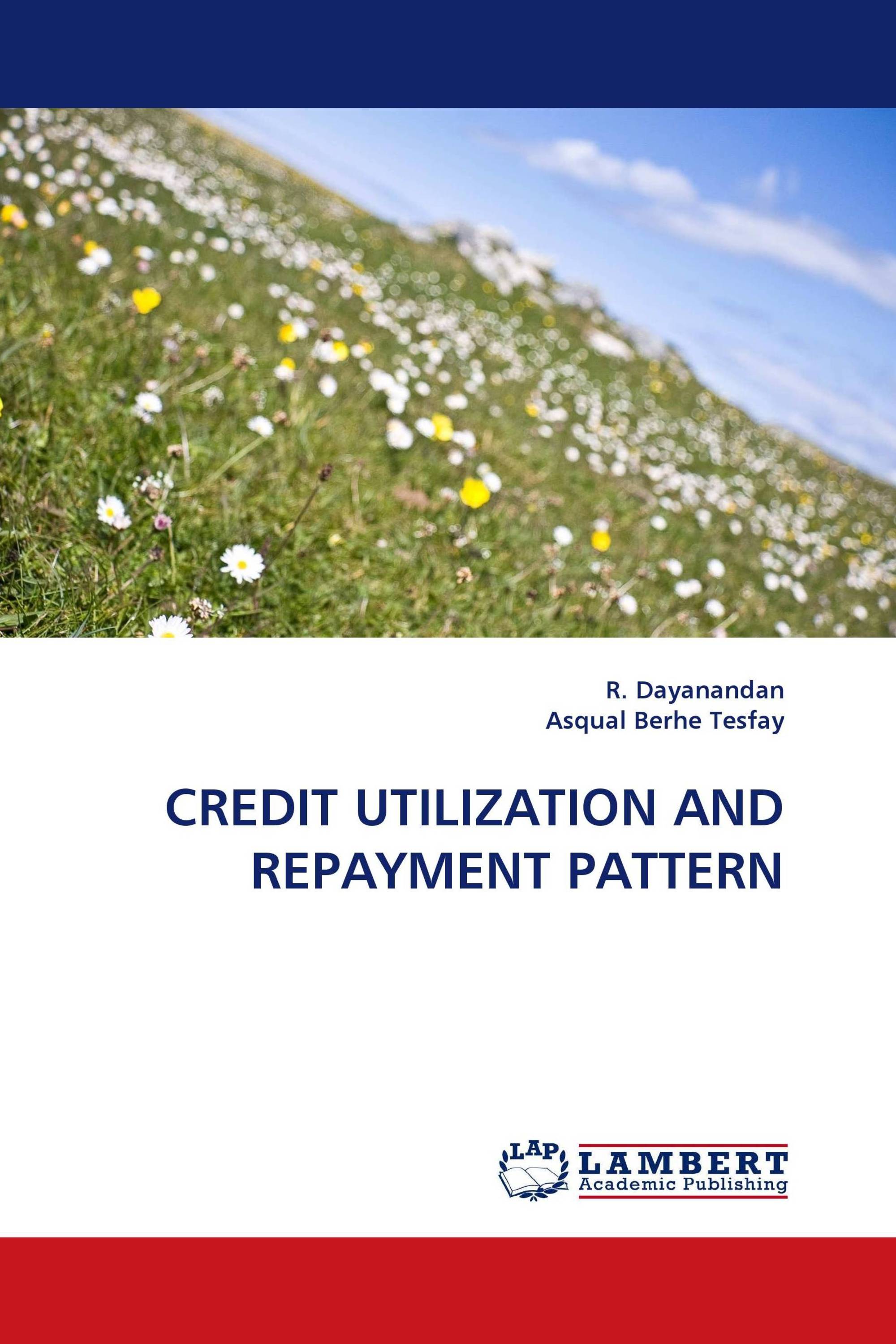 CREDIT UTILIZATION AND REPAYMENT PATTERN