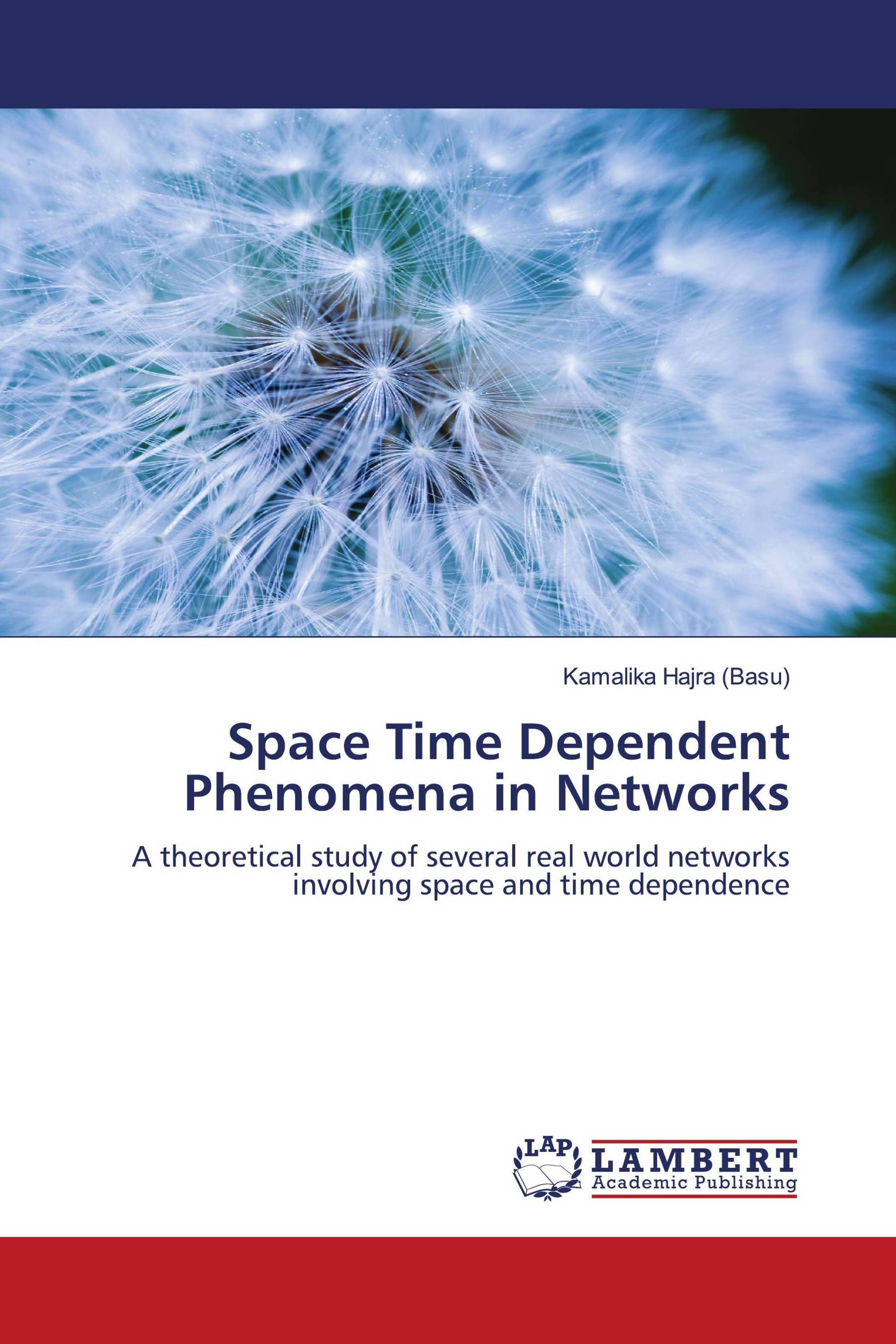 Space Time Dependent Phenomena in Networks