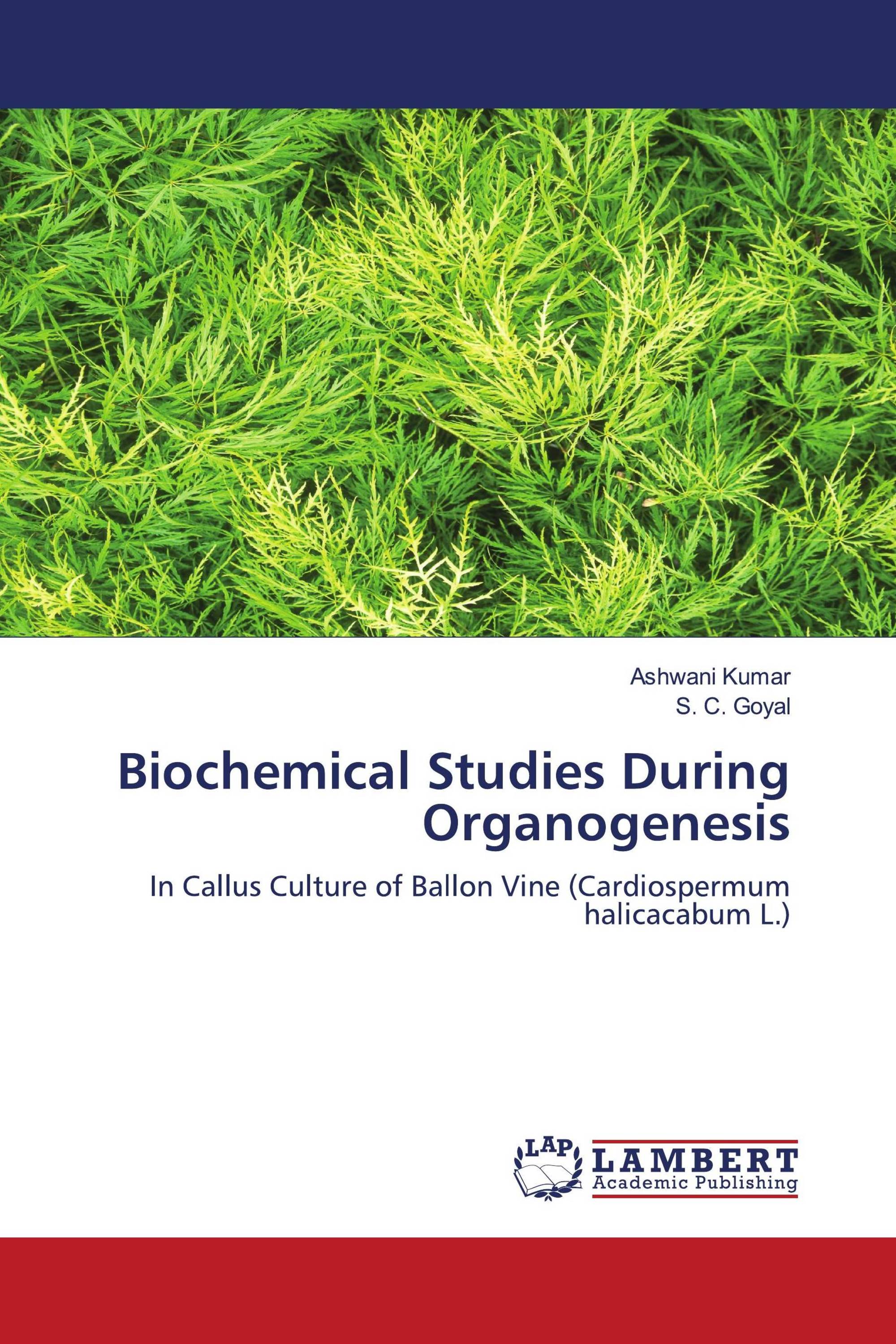 Biochemical Studies During Organogenesis