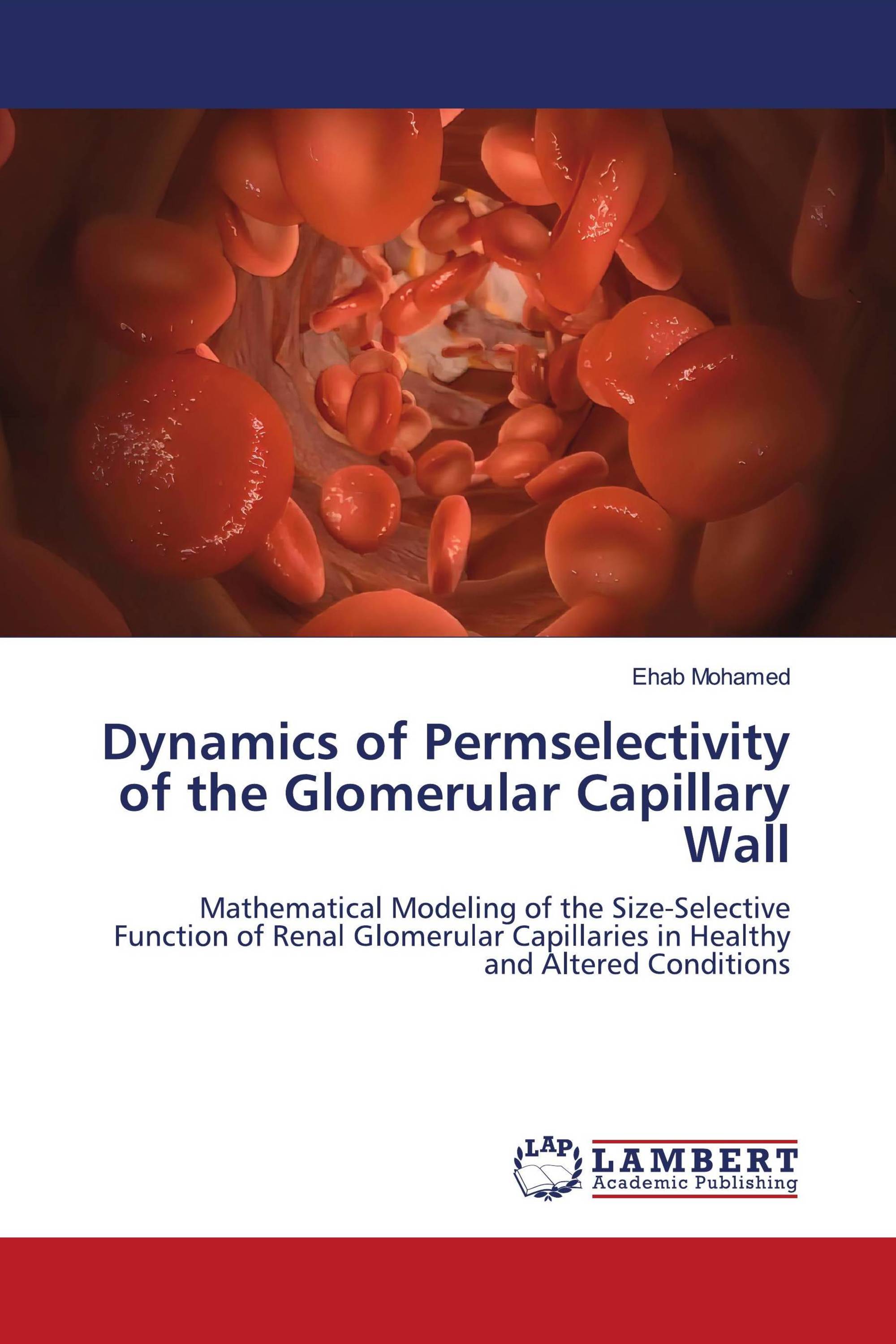 Dynamics of Permselectivity of the Glomerular Capillary Wall