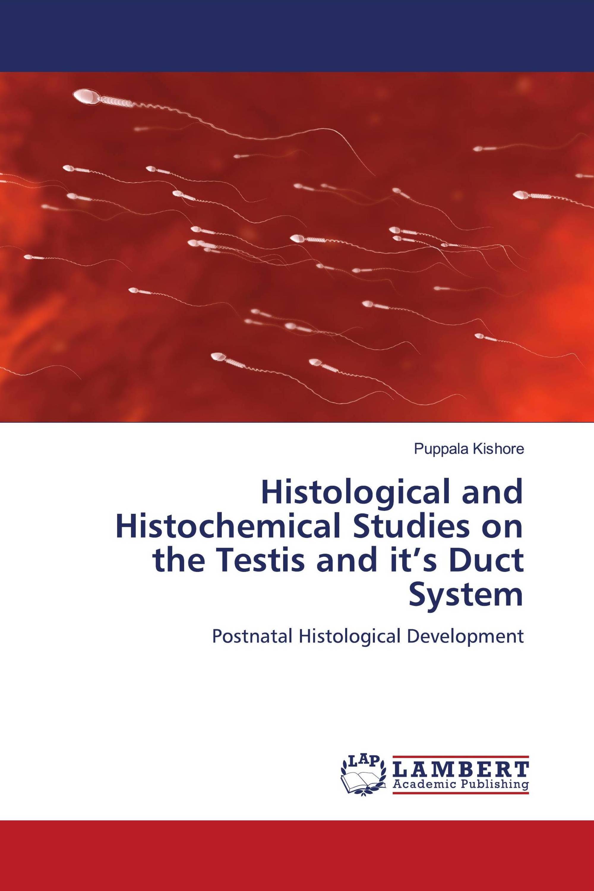 Histological and Histochemical Studies on the Testis and it’s Duct System