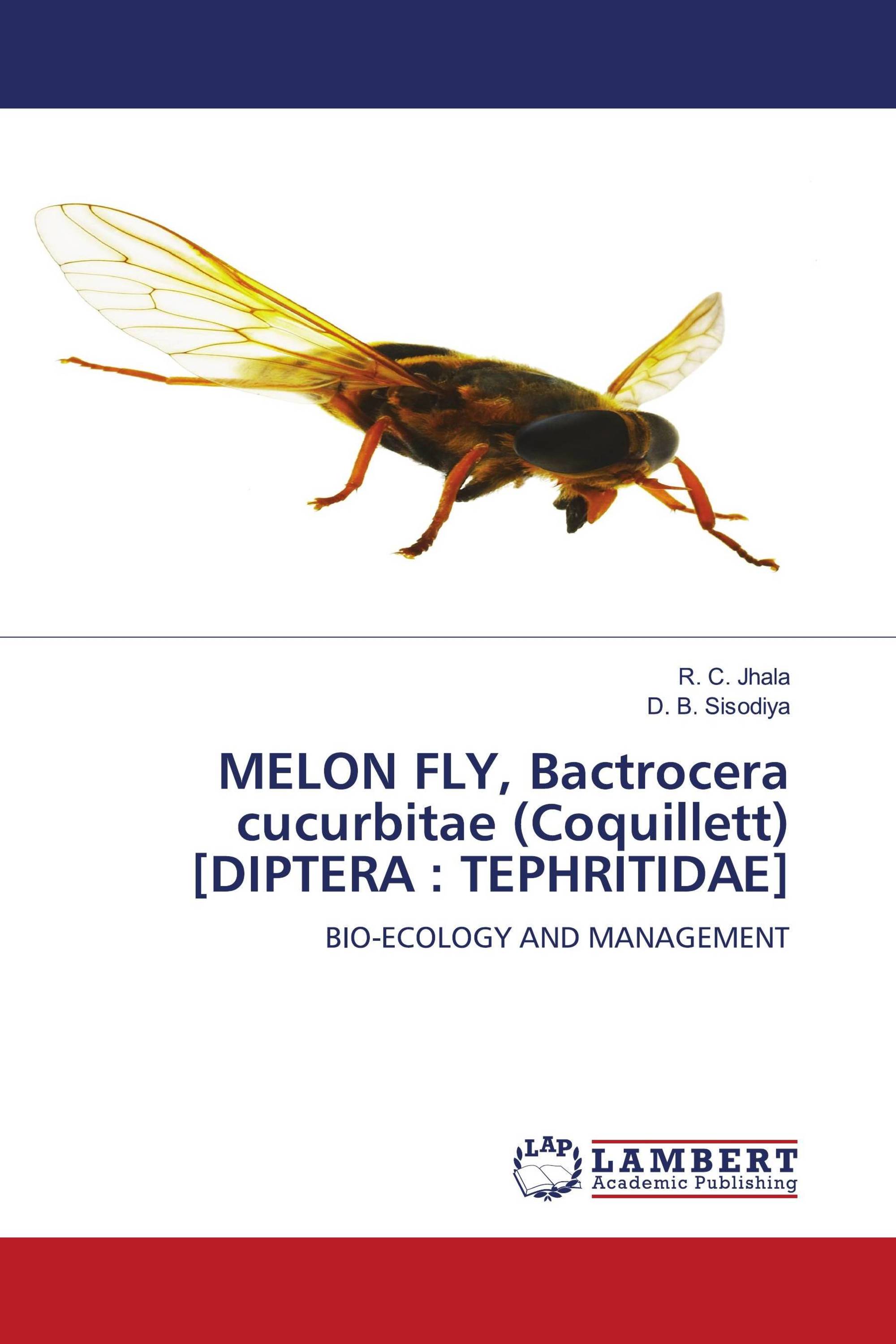 MELON FLY, Bactrocera cucurbitae (Coquillett) [DIPTERA : TEPHRITIDAE]