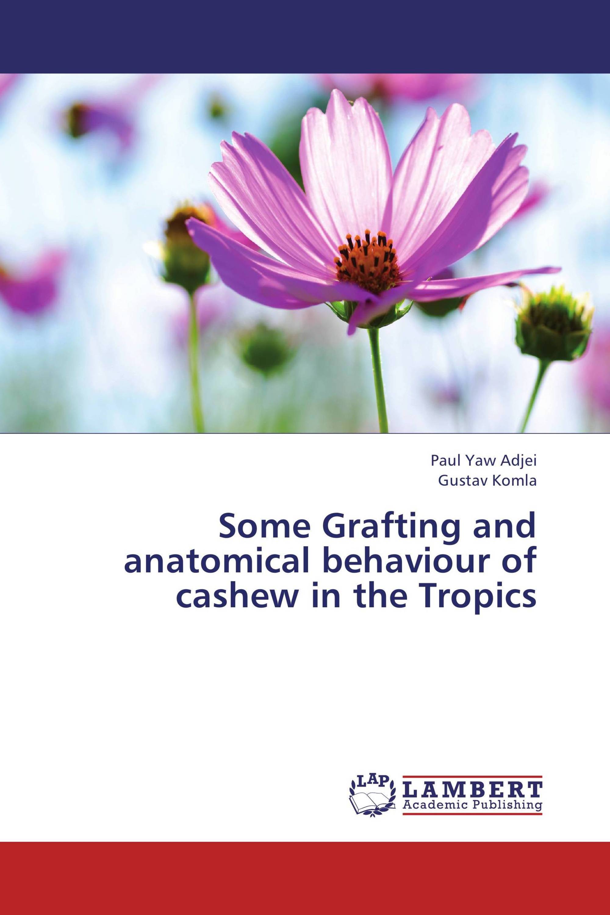 Some Grafting and anatomical behaviour of cashew in the Tropics