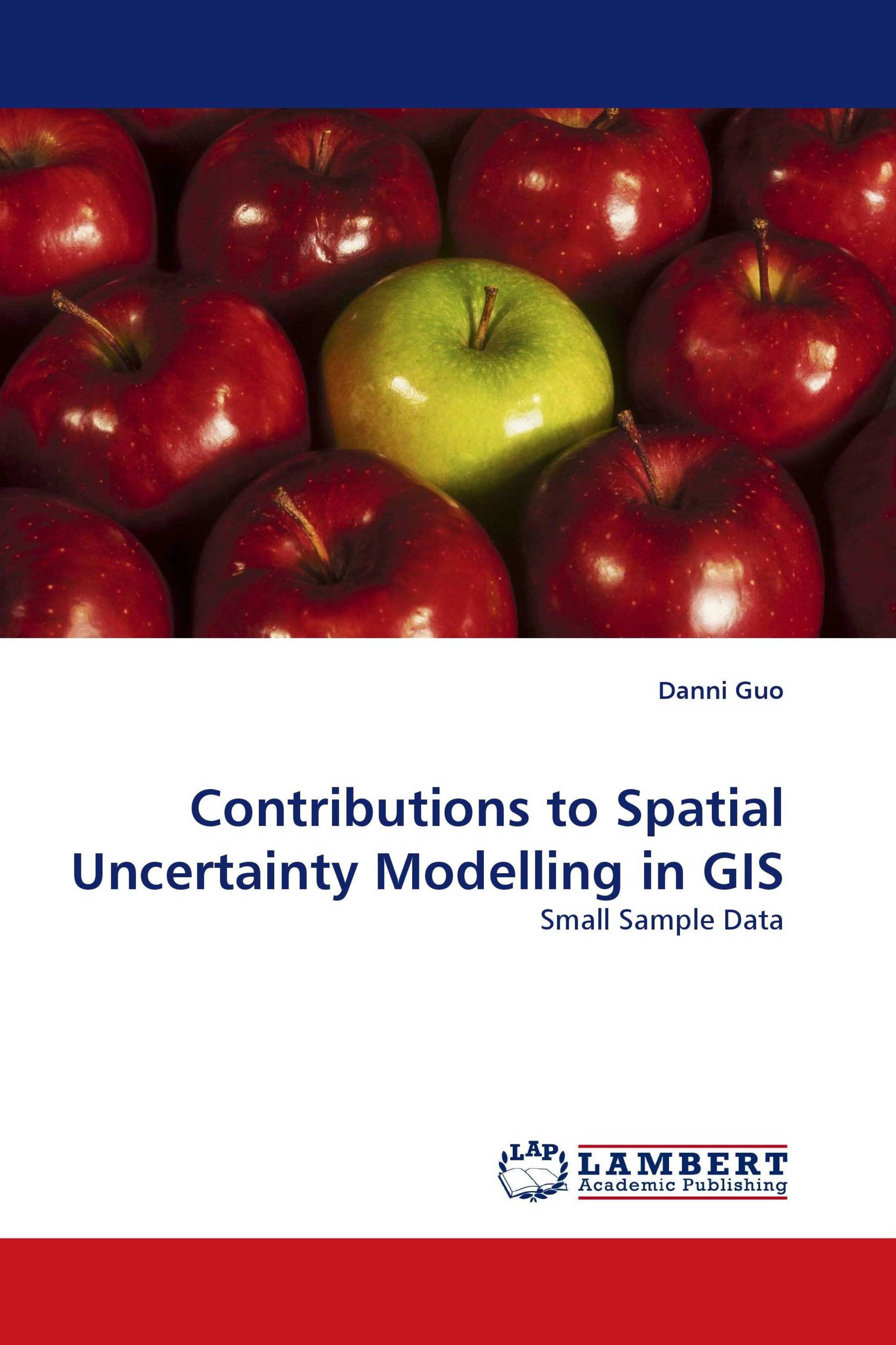 Contributions to Spatial Uncertainty Modelling in GIS