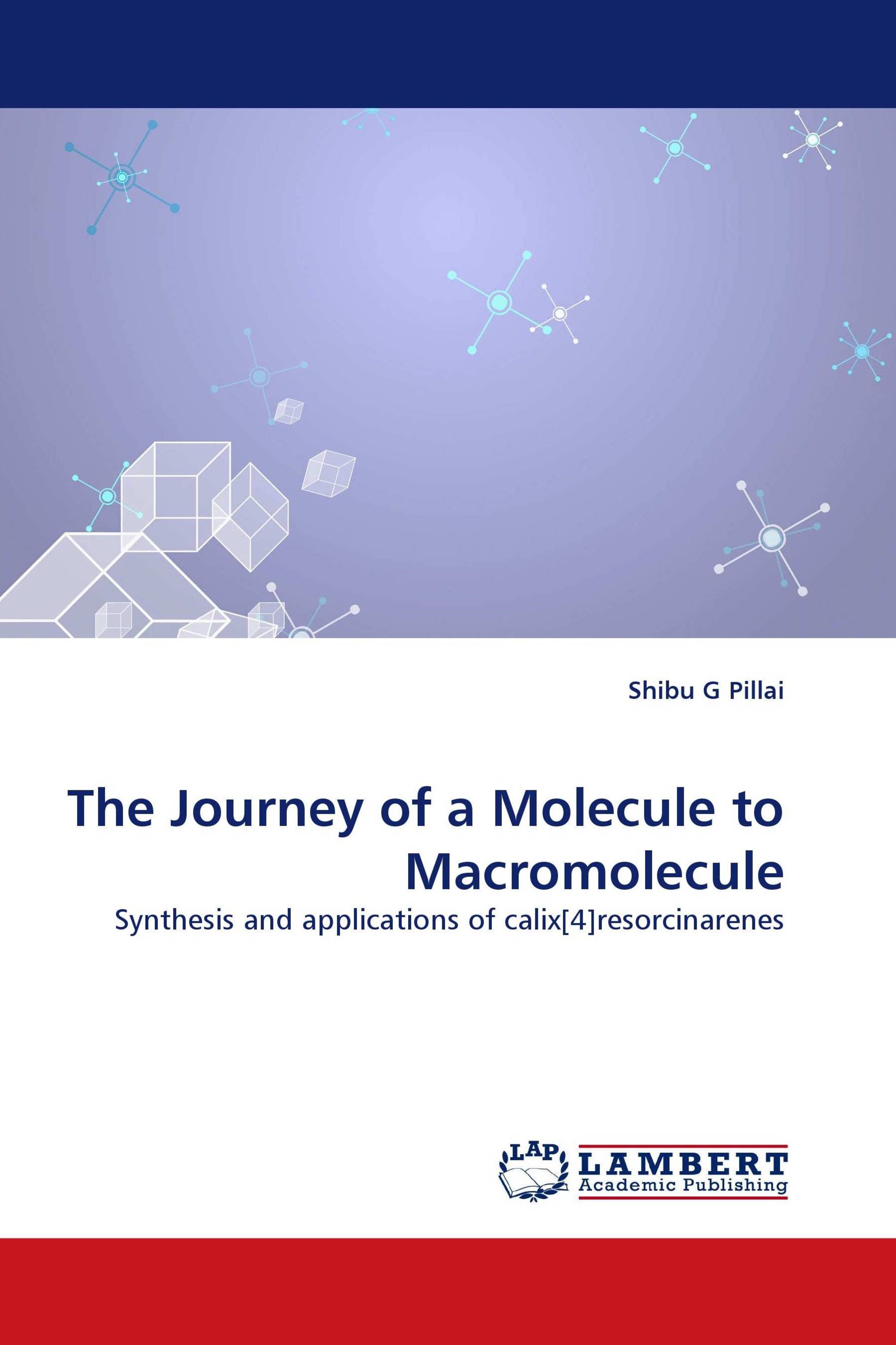 The Journey of a Molecule to Macromolecule