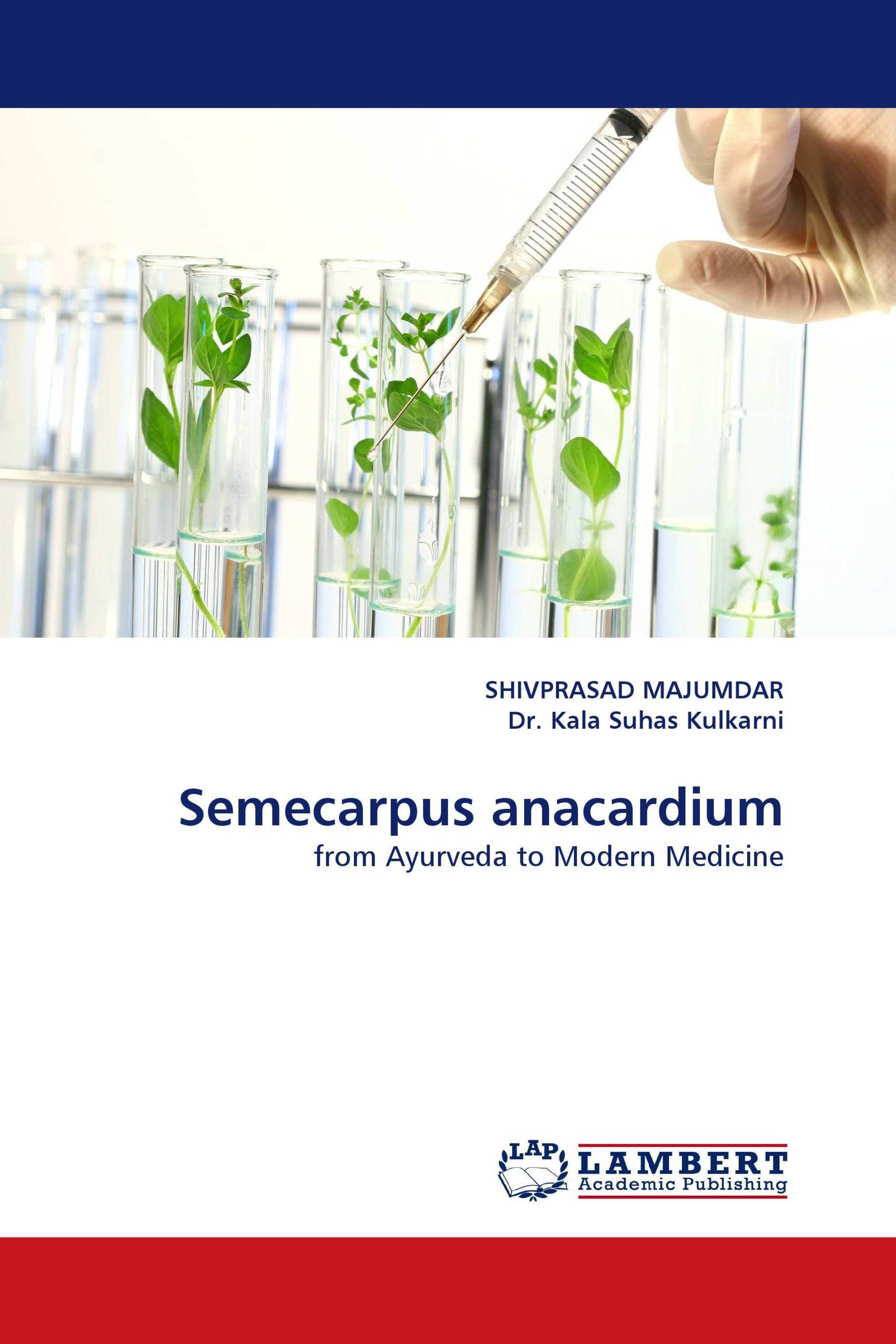 Semecarpus anacardium