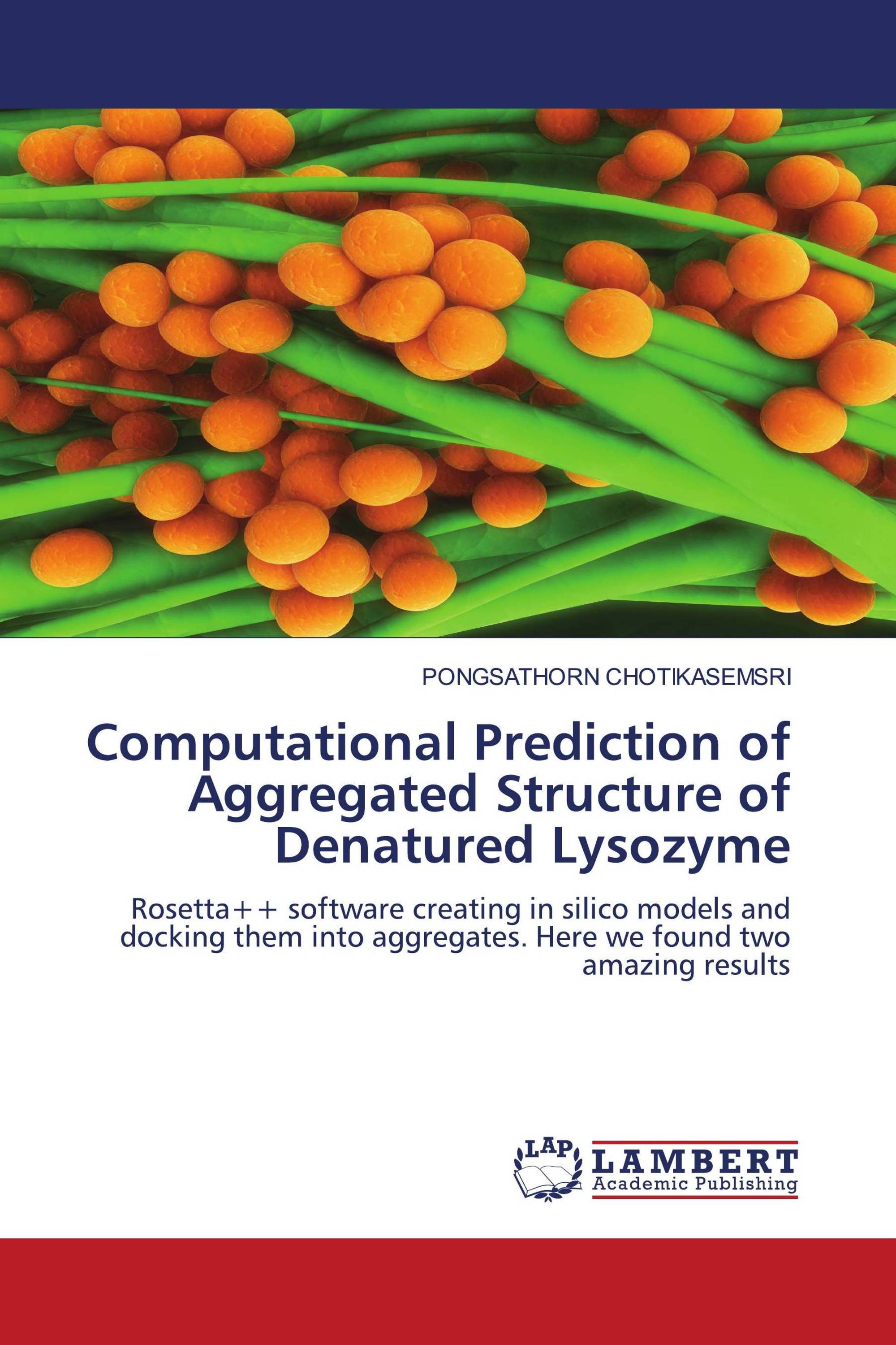 Computational Prediction of Aggregated Structure of Denatured Lysozyme