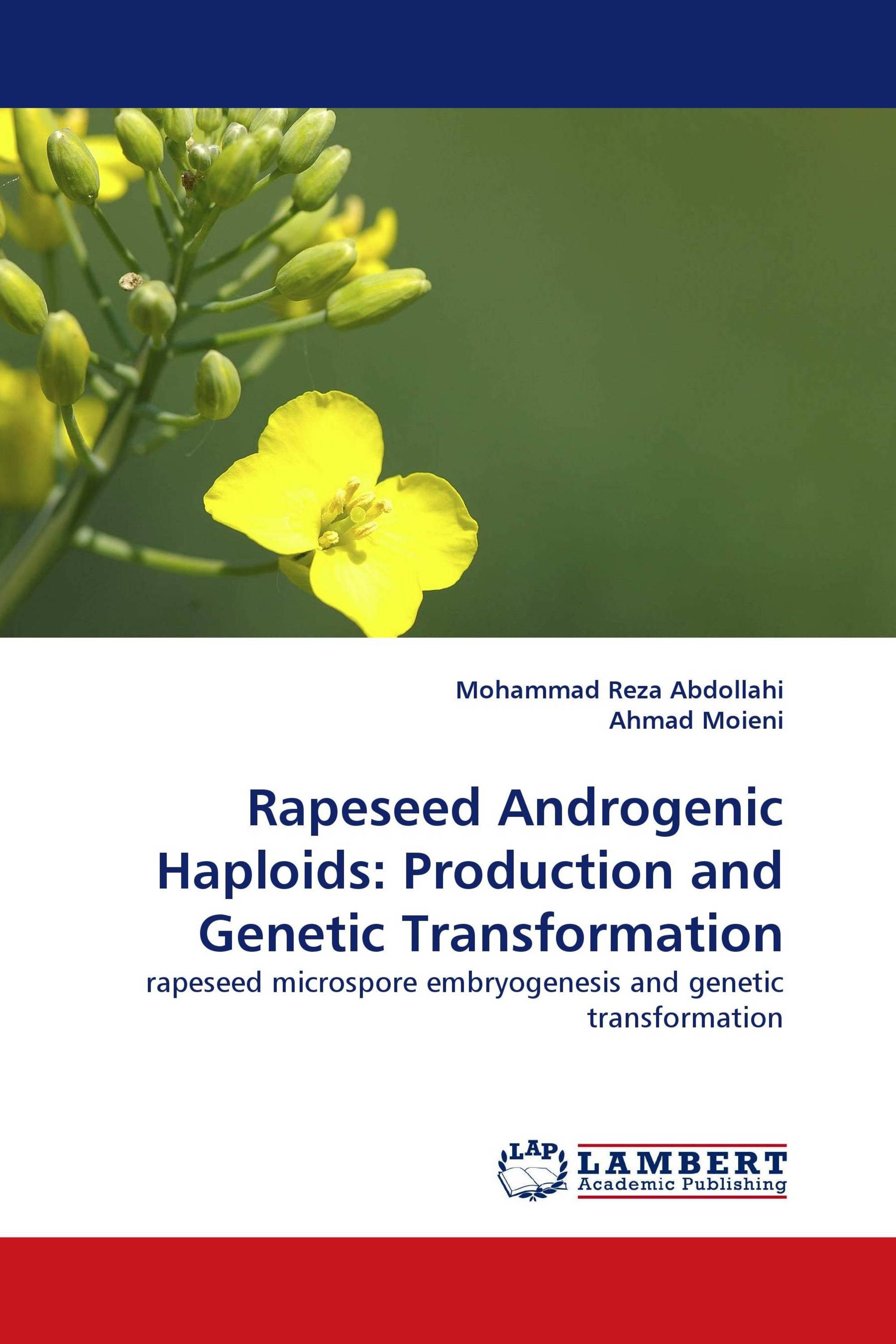 Rapeseed Androgenic Haploids: Production and Genetic Transformation