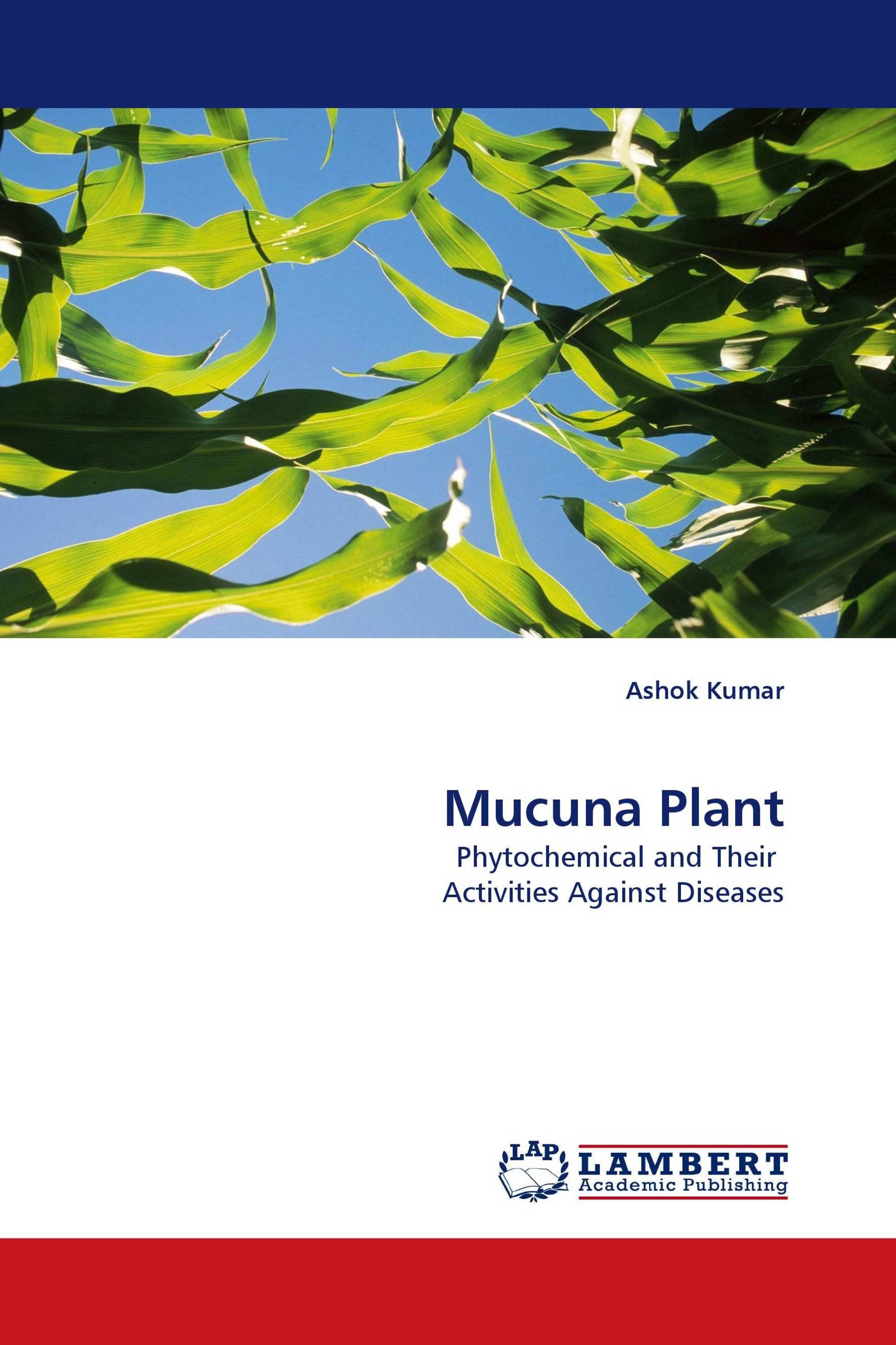 Mucuna Plant