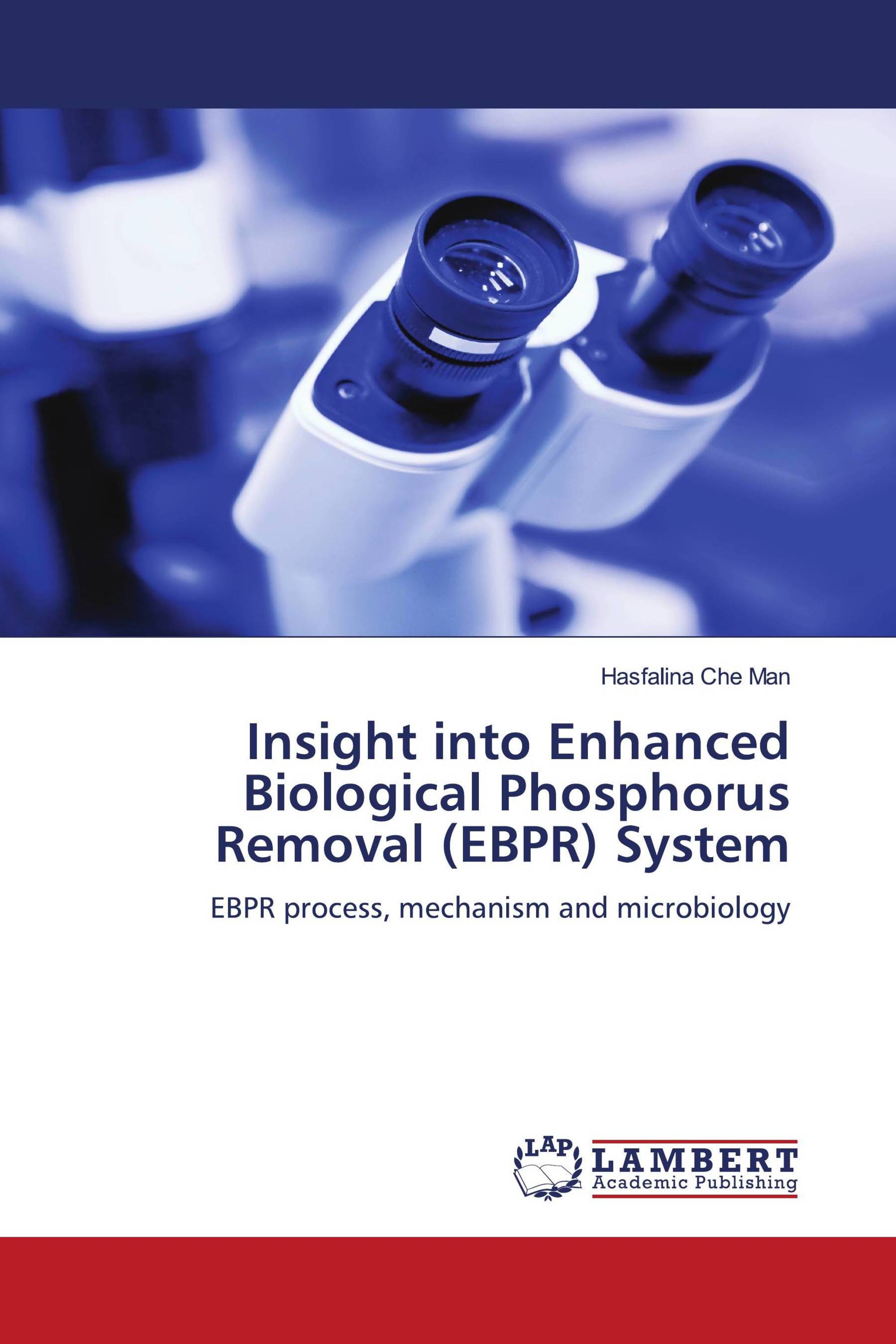 Insight into Enhanced Biological Phosphorus Removal (EBPR) System