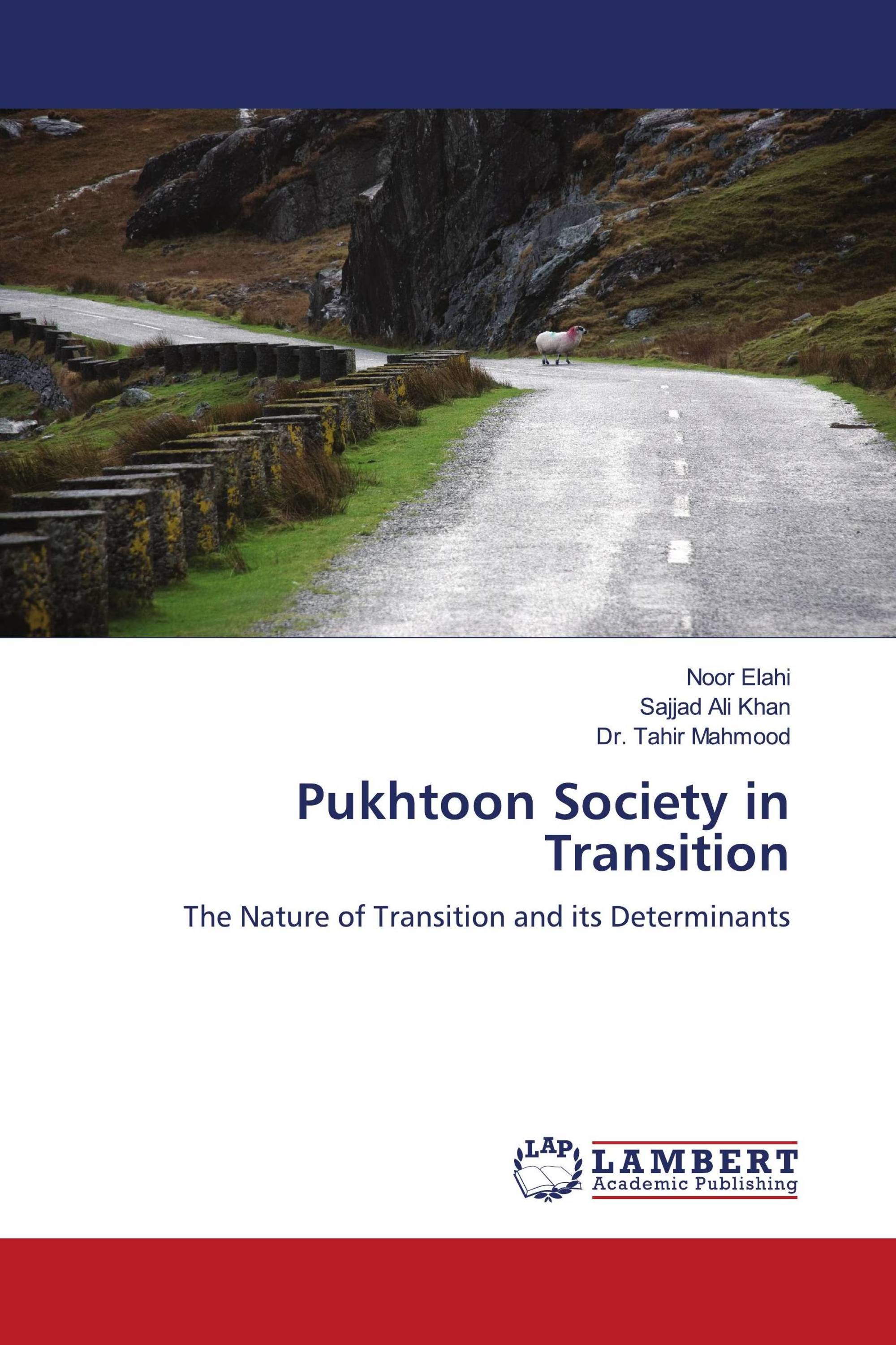 Pukhtoon Society in Transition