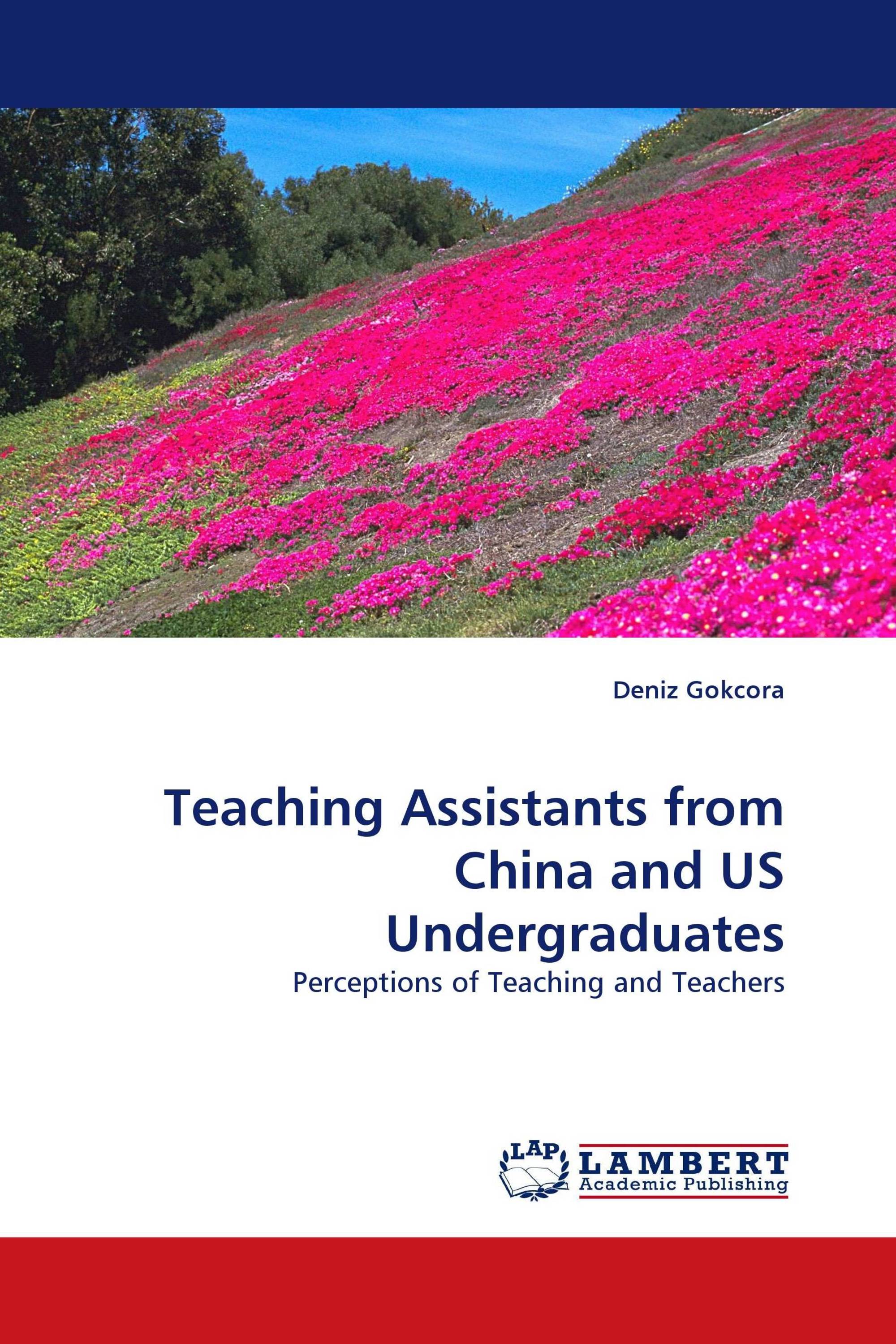 Teaching Assistants from China and US Undergraduates