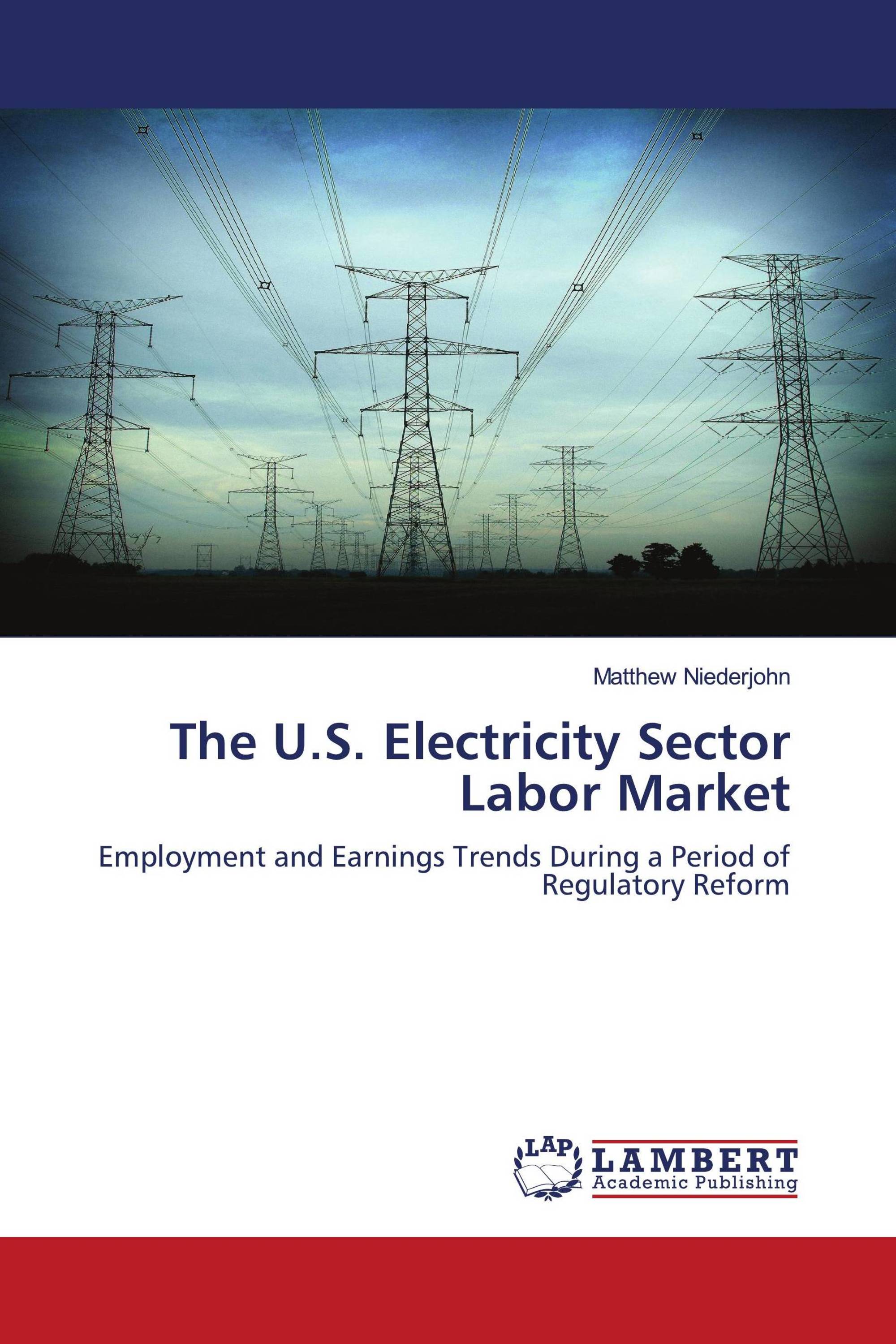 The U.S. Electricity Sector Labor Market