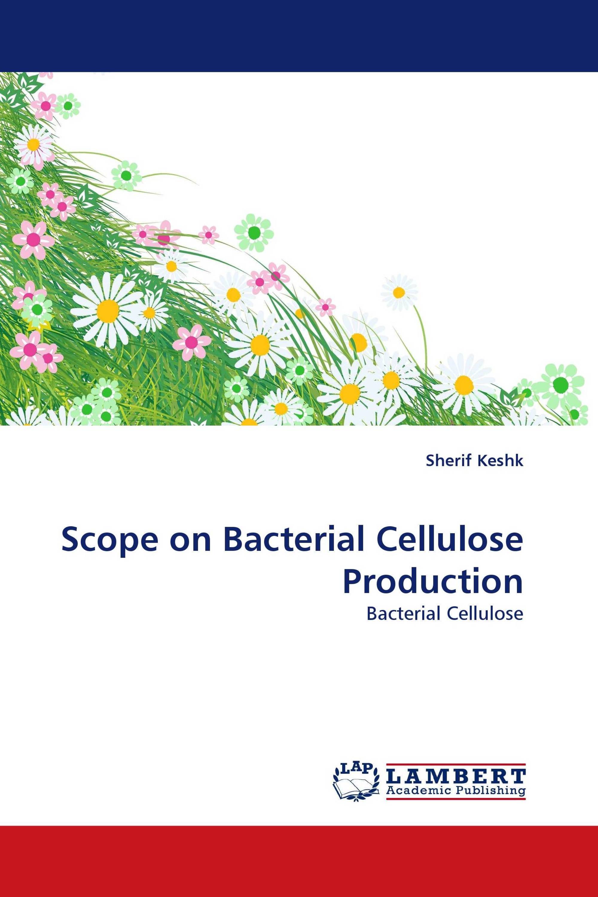 Scope on Bacterial Cellulose Production