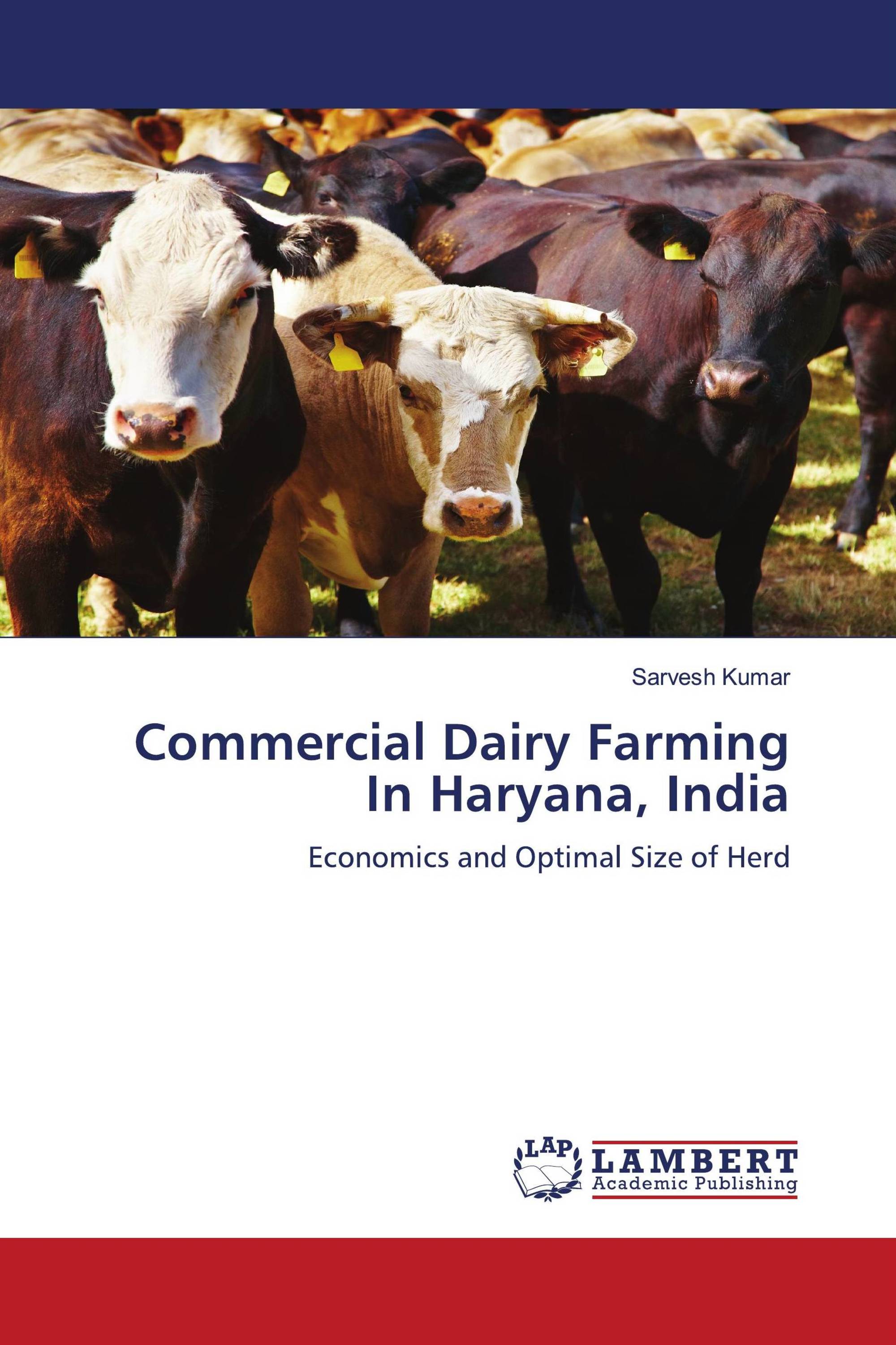 dairy farming business plan in haryana