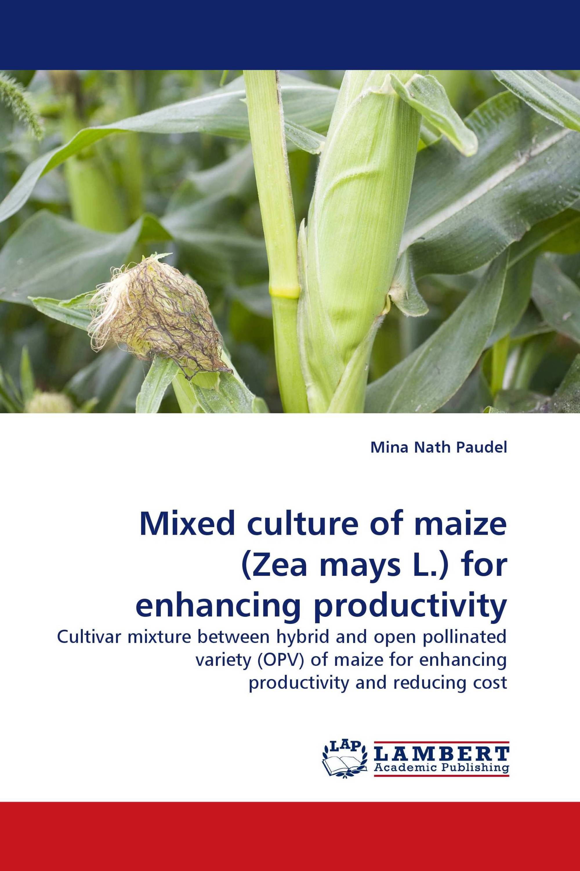 Mixed culture of maize (Zea mays L.) for enhancing productivity