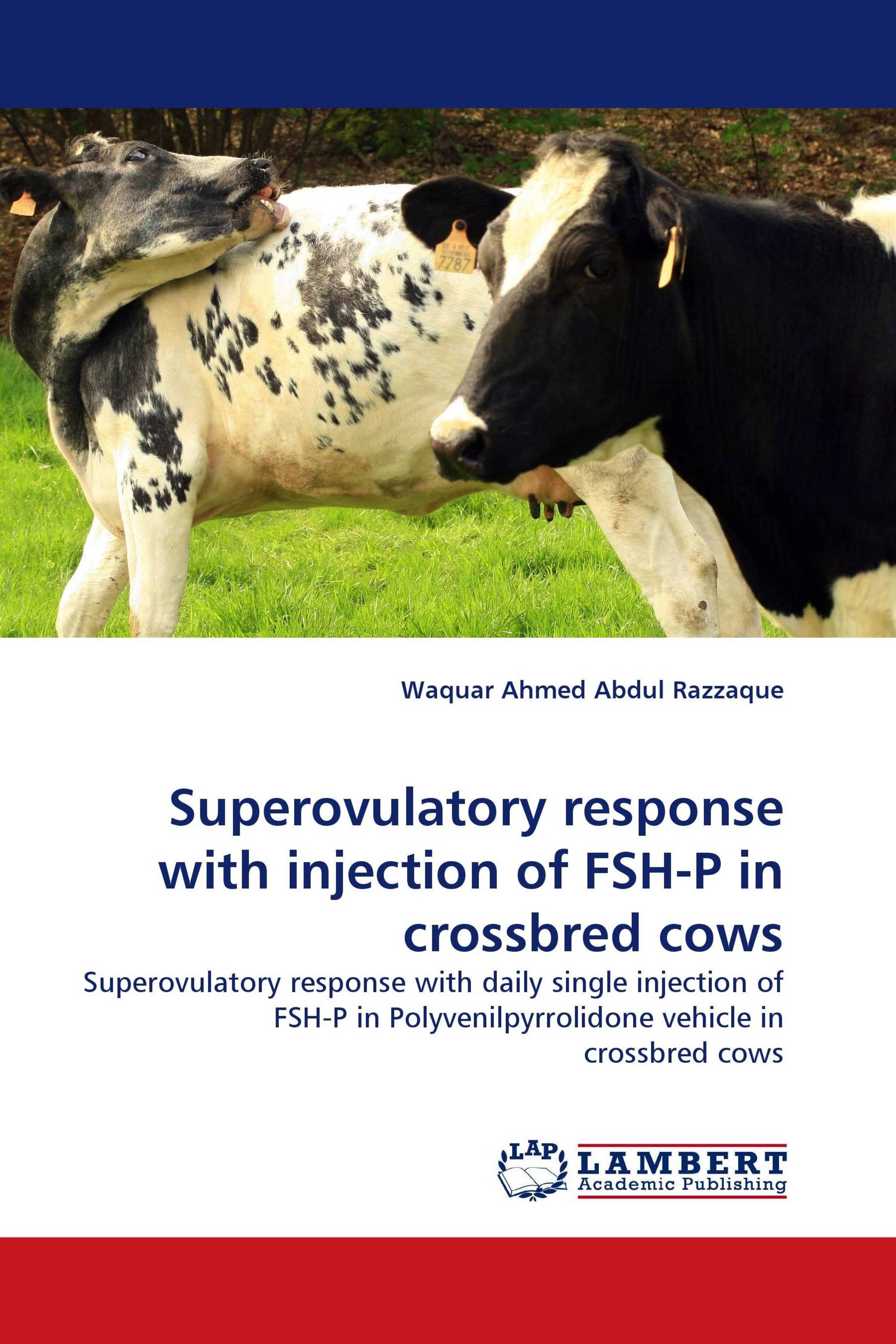 Superovulatory response with injection of FSH-P in crossbred cows