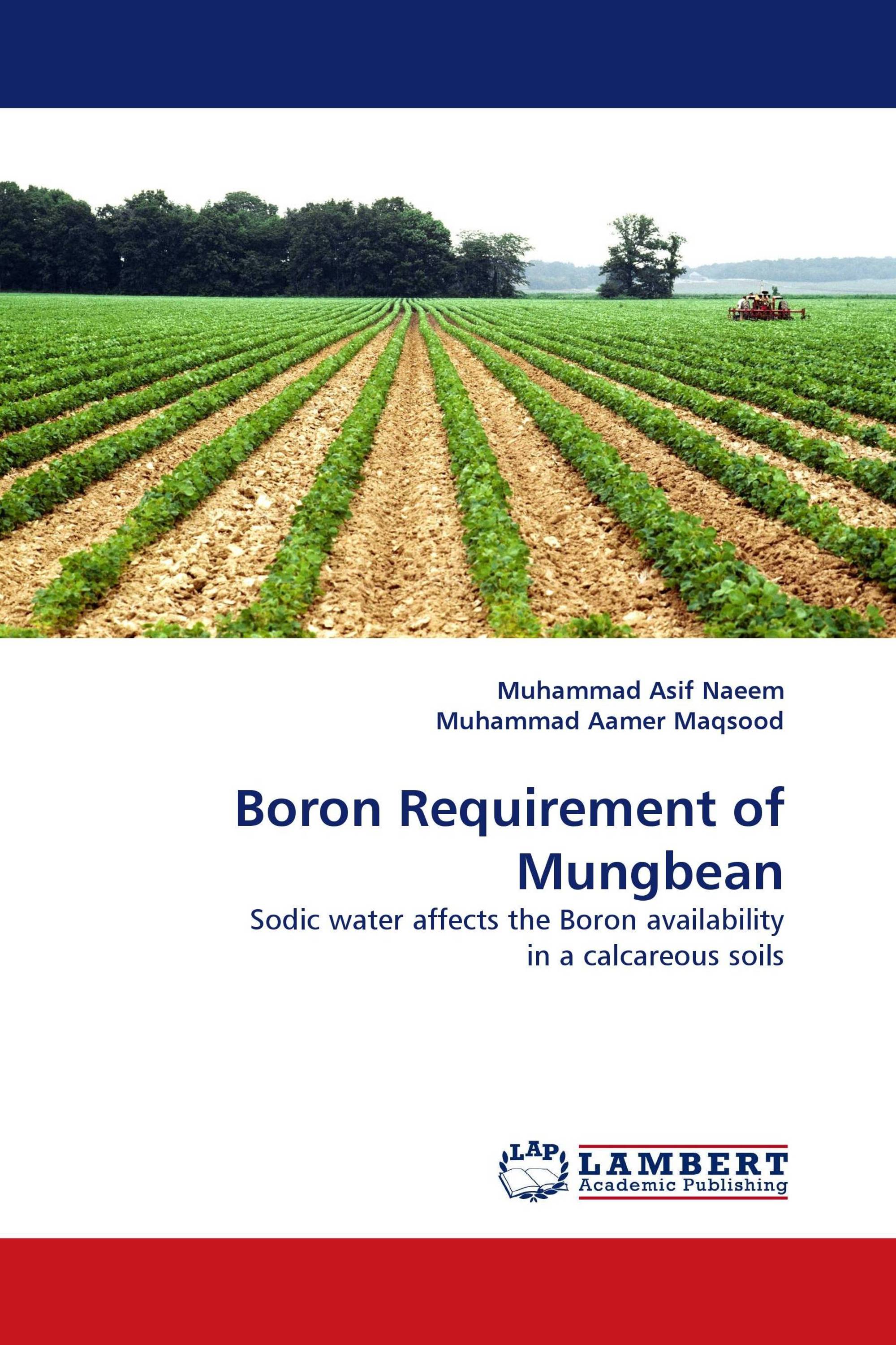 Boron Requirement of Mungbean