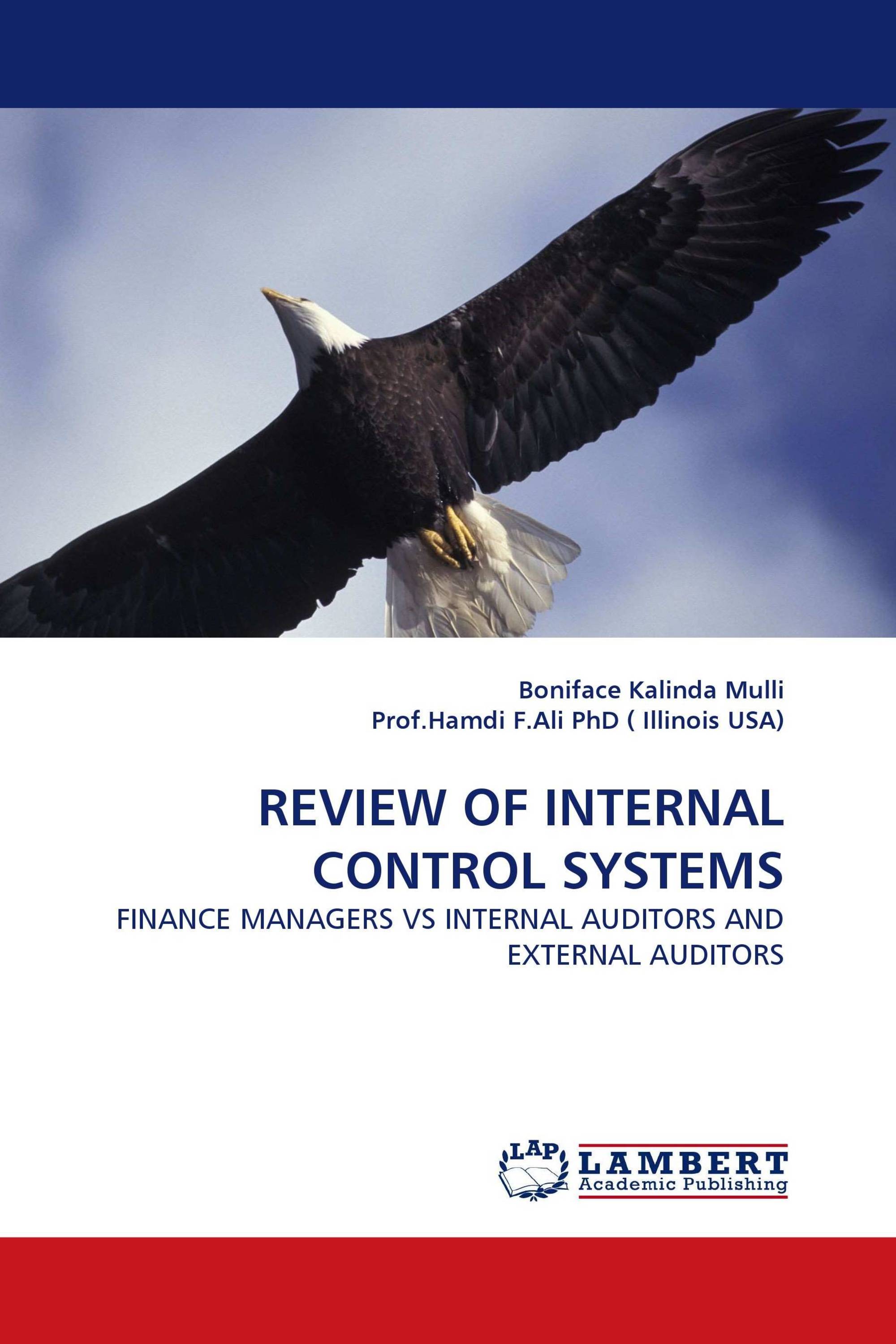 review-of-internal-control-systems-978-3-8443-0499-2-9783844304992