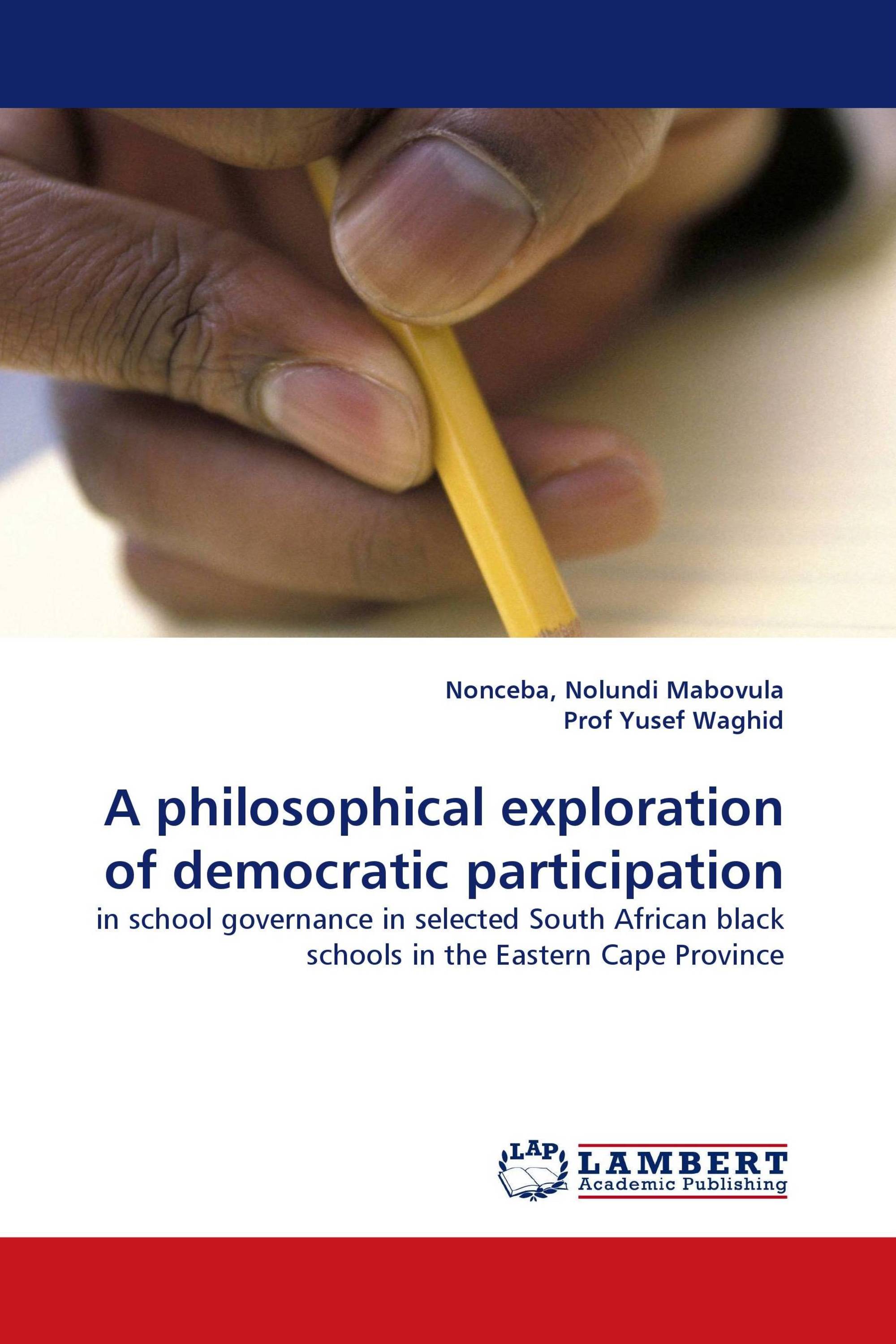 A philosophical exploration of democratic participation