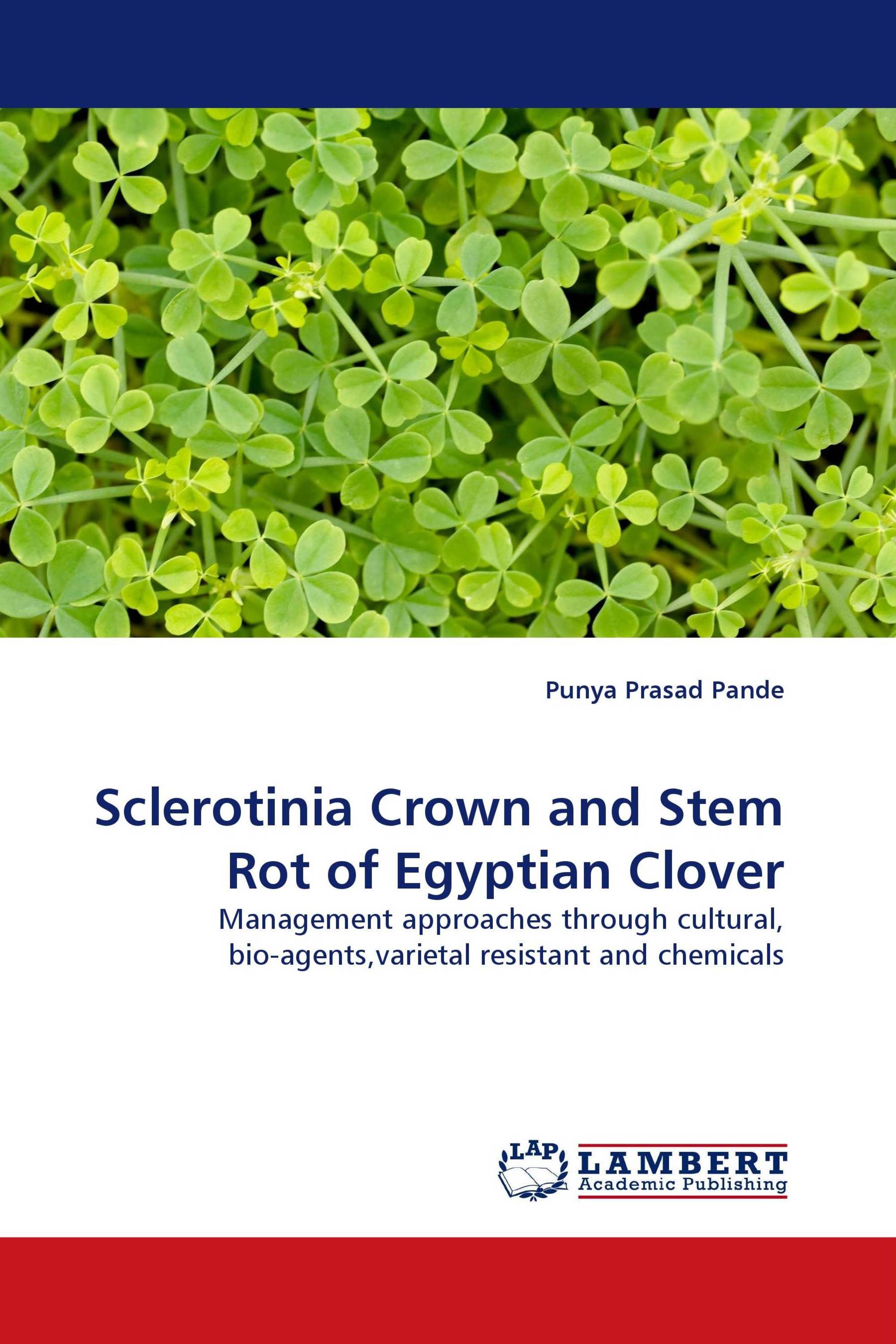 Sclerotinia Crown and Stem Rot of Egyptian Clover