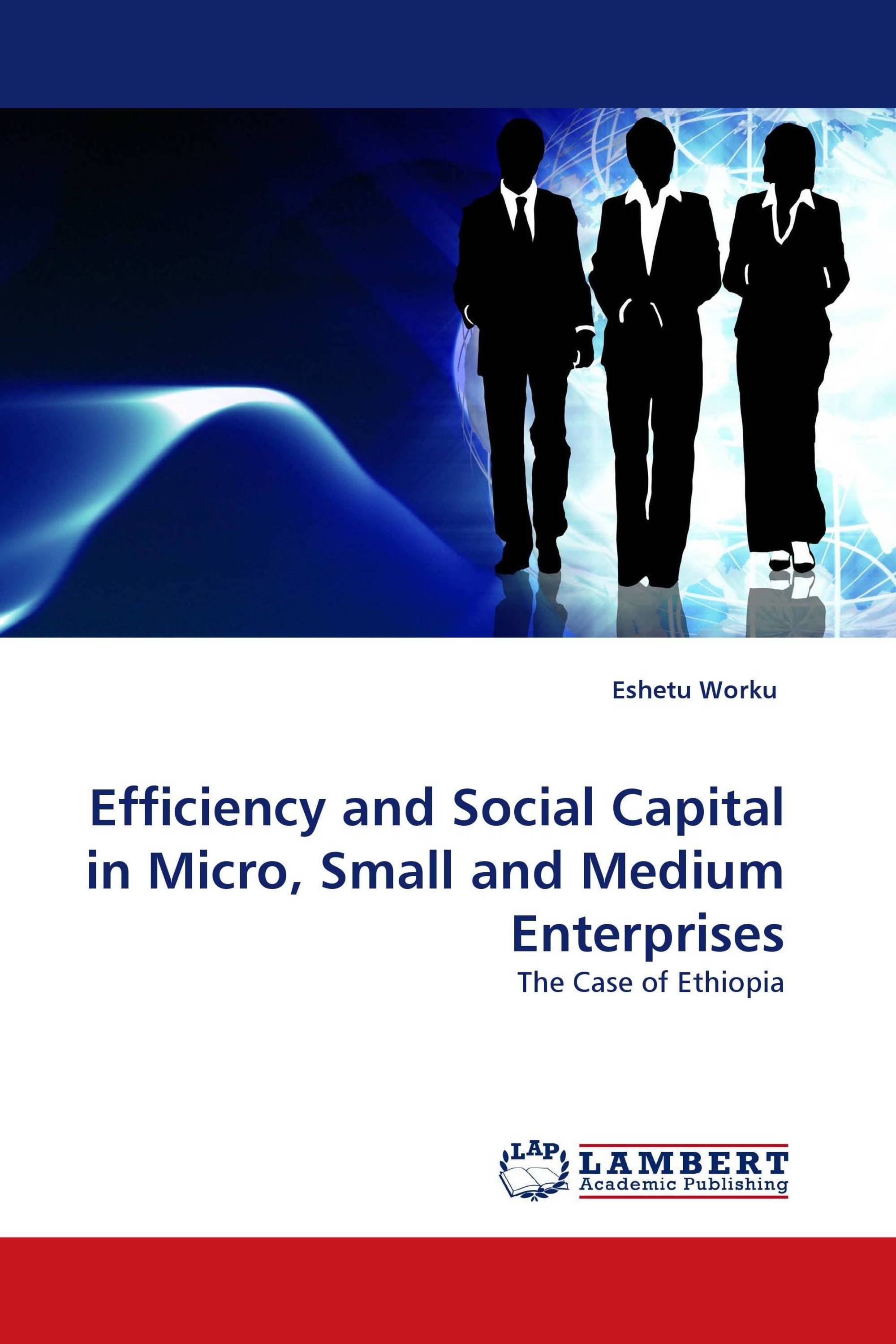 Efficiency and Social Capital in Micro, Small and Medium Enterprises