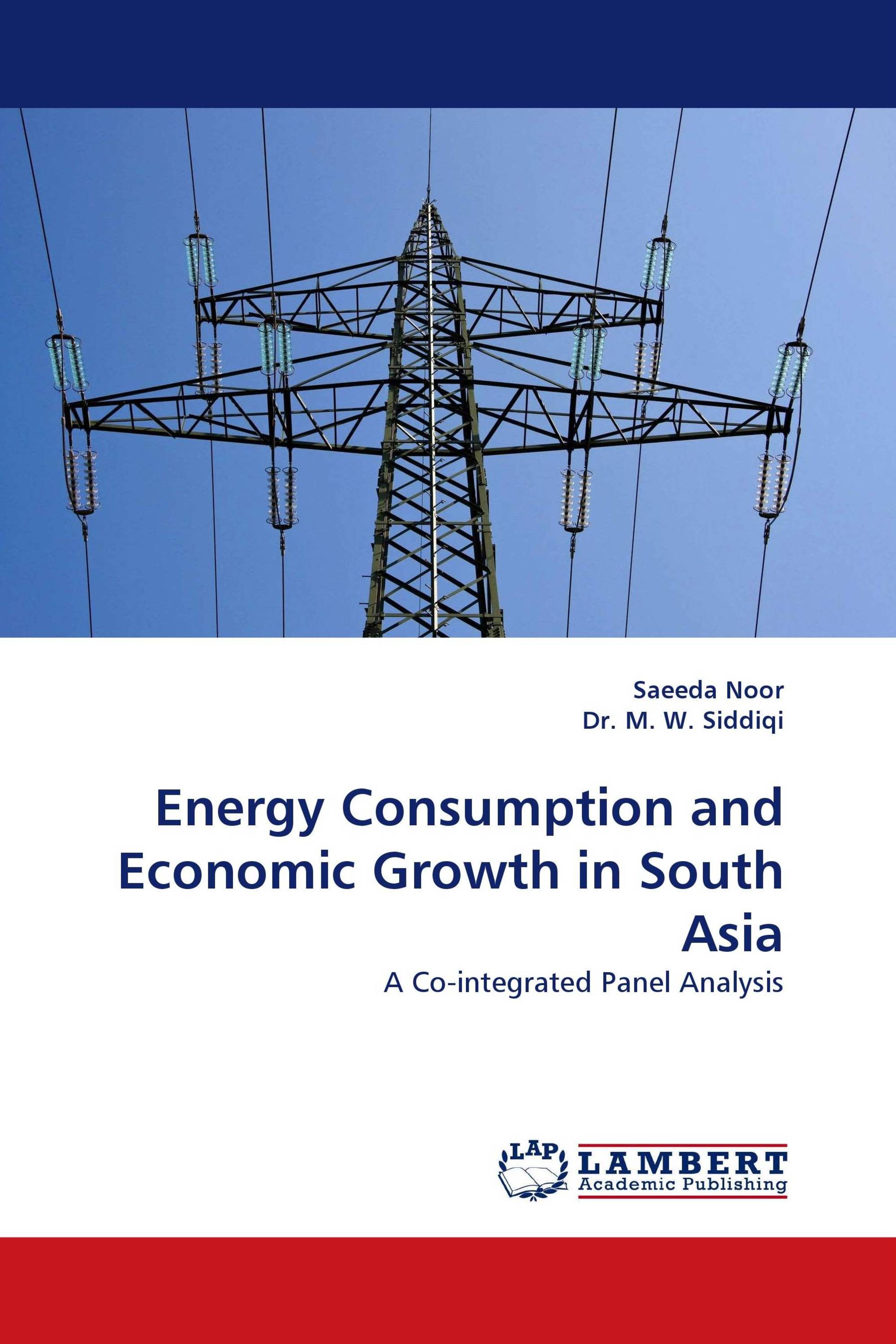 Energy Consumption and Economic Growth in South Asia