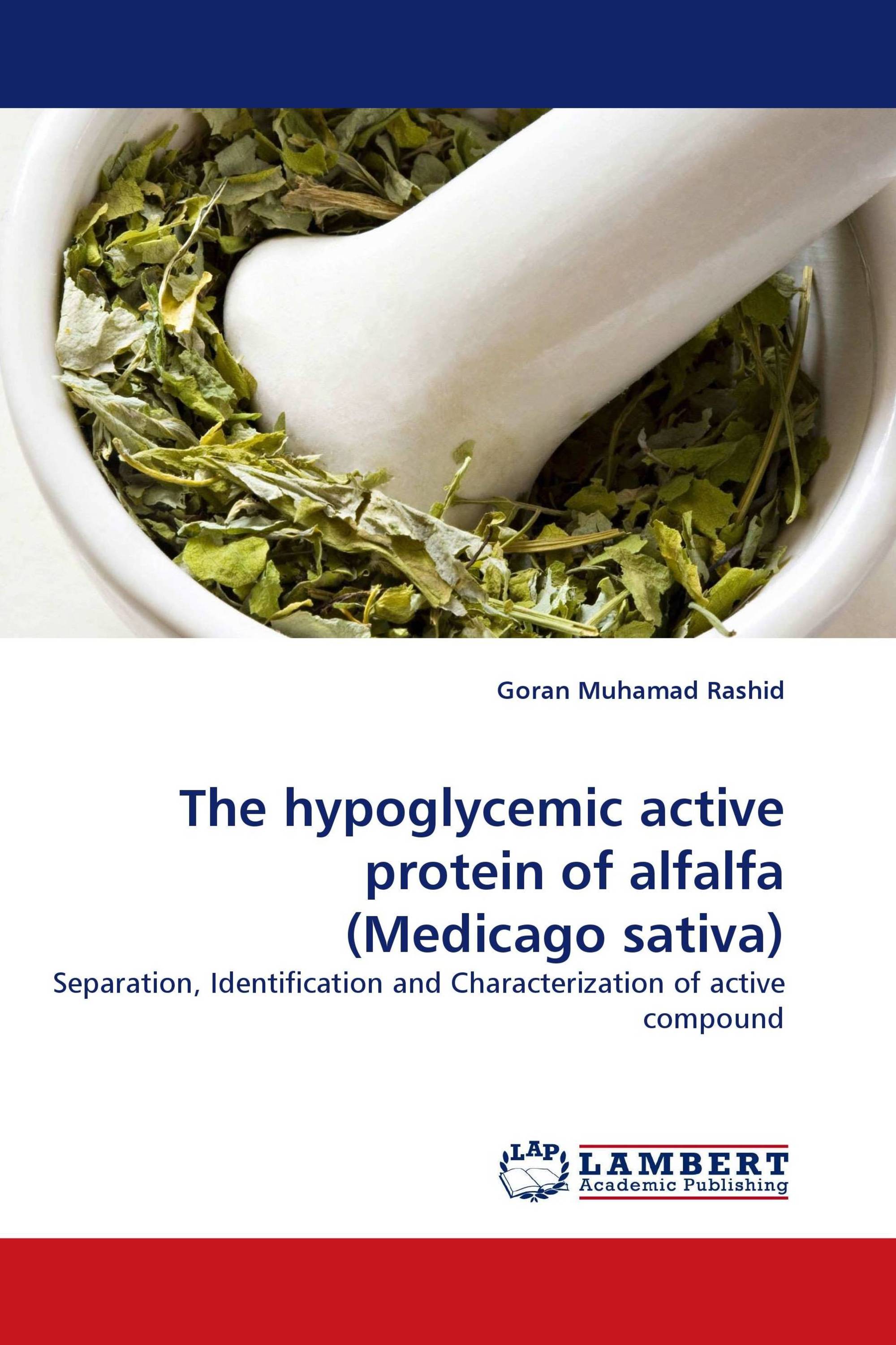 The hypoglycemic active protein of alfalfa (Medicago sativa)