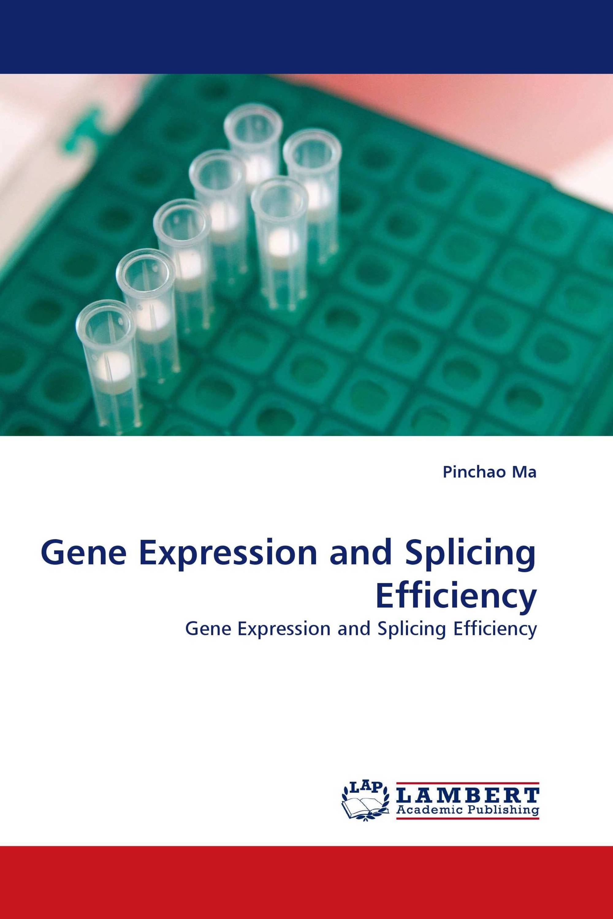 Gene Expression and Splicing Efficiency