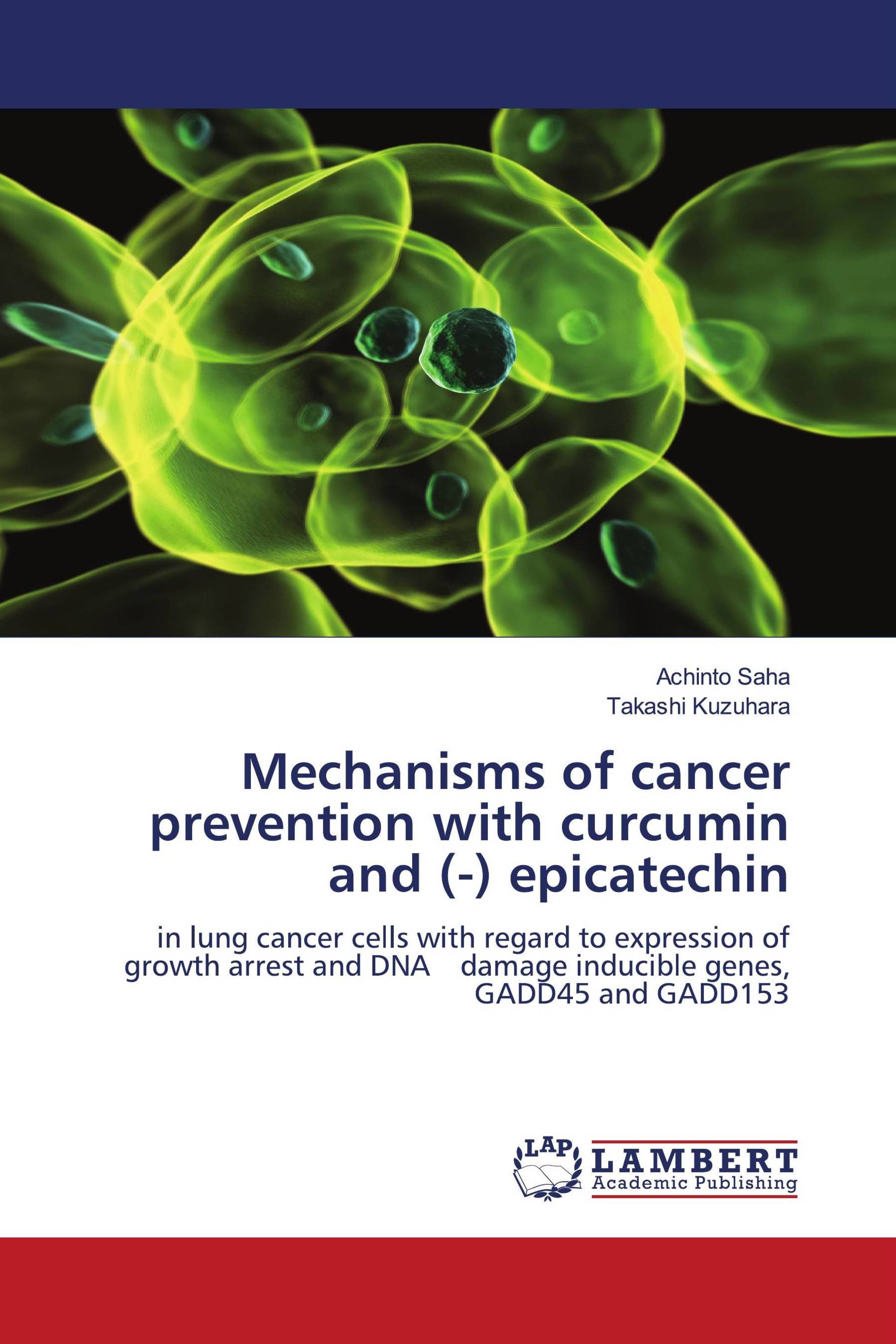 Mechanisms of cancer prevention with curcumin and (-) epicatechin