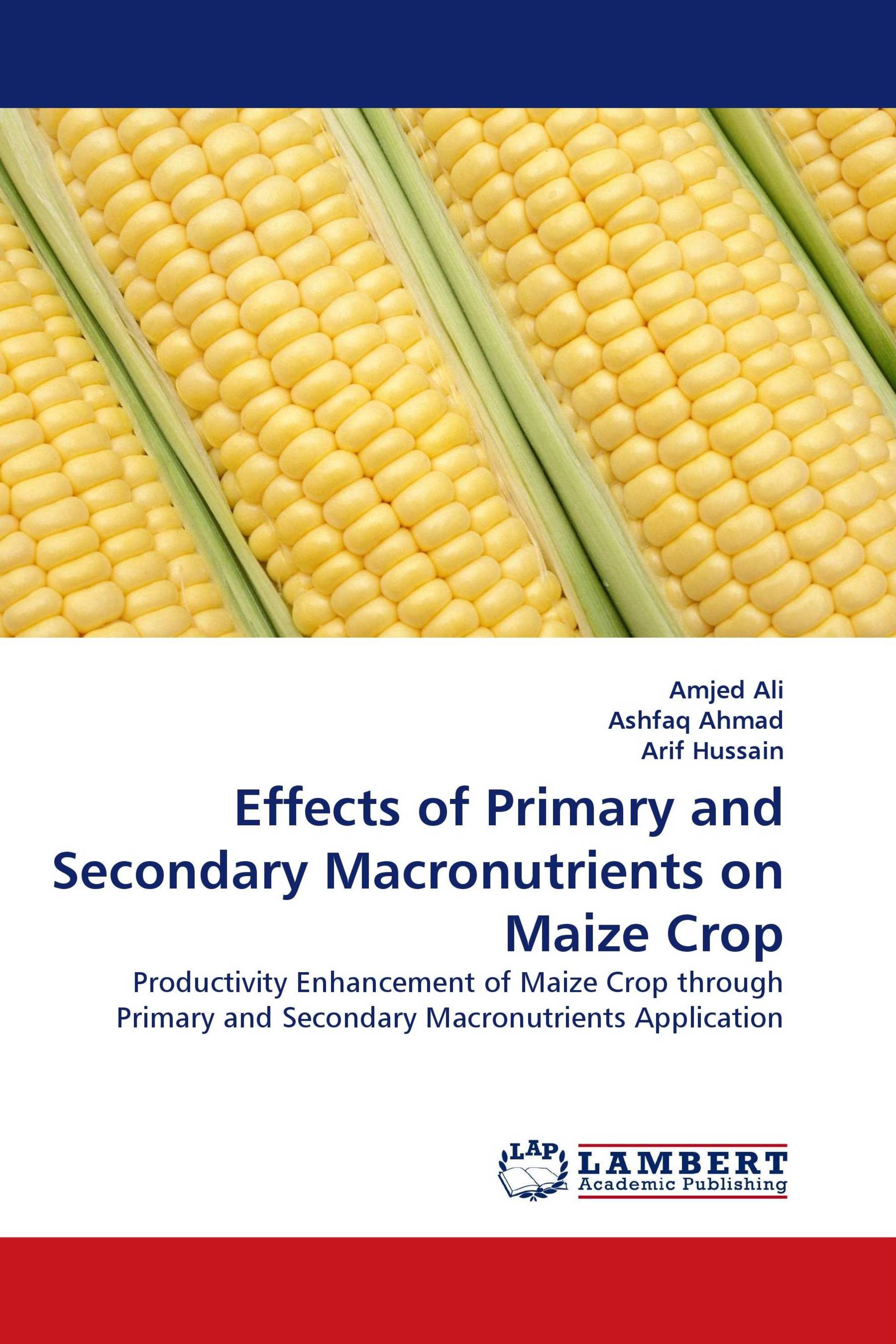 Effects of Primary and Secondary Macronutrients on Maize Crop