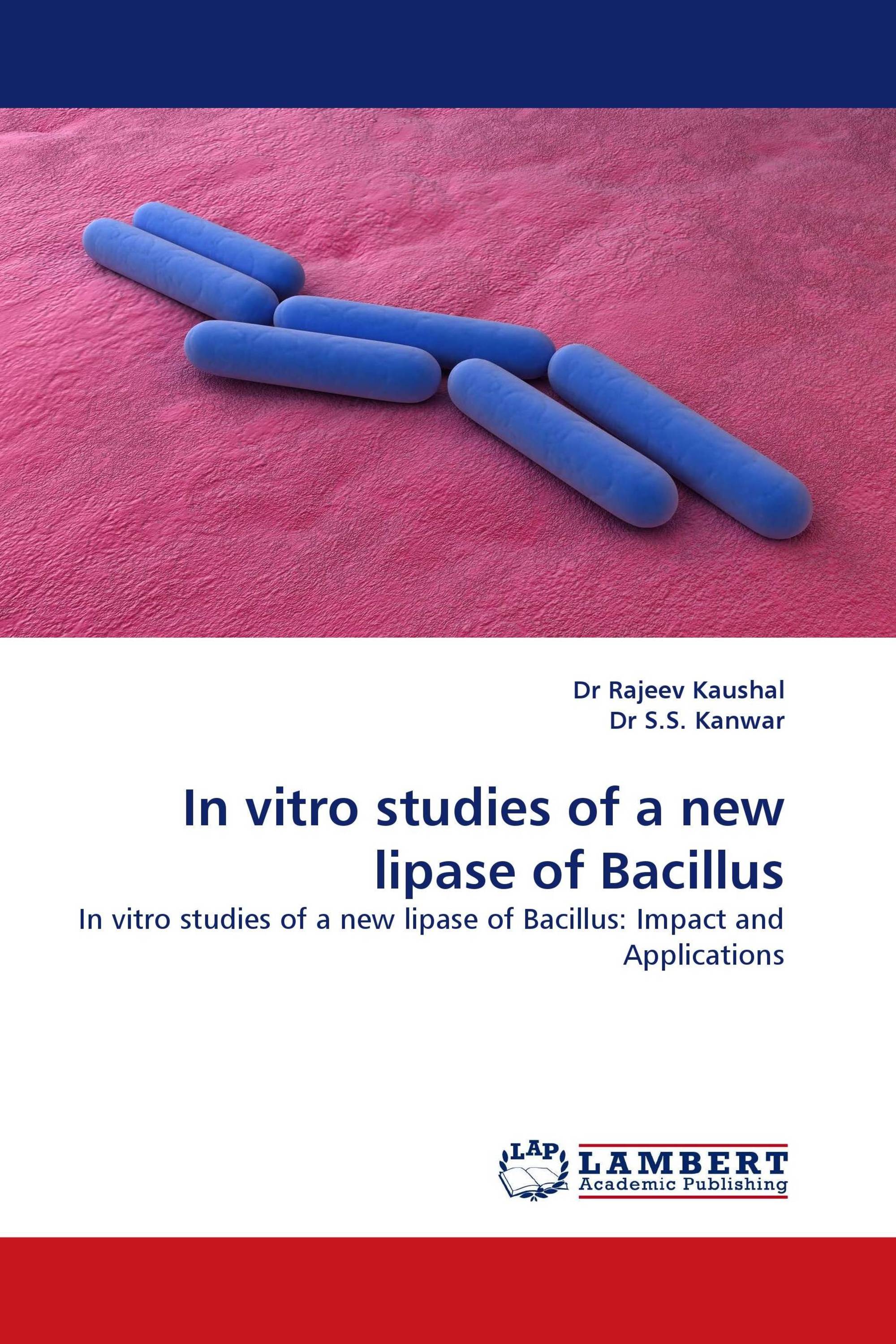 In vitro studies of a new lipase of Bacillus