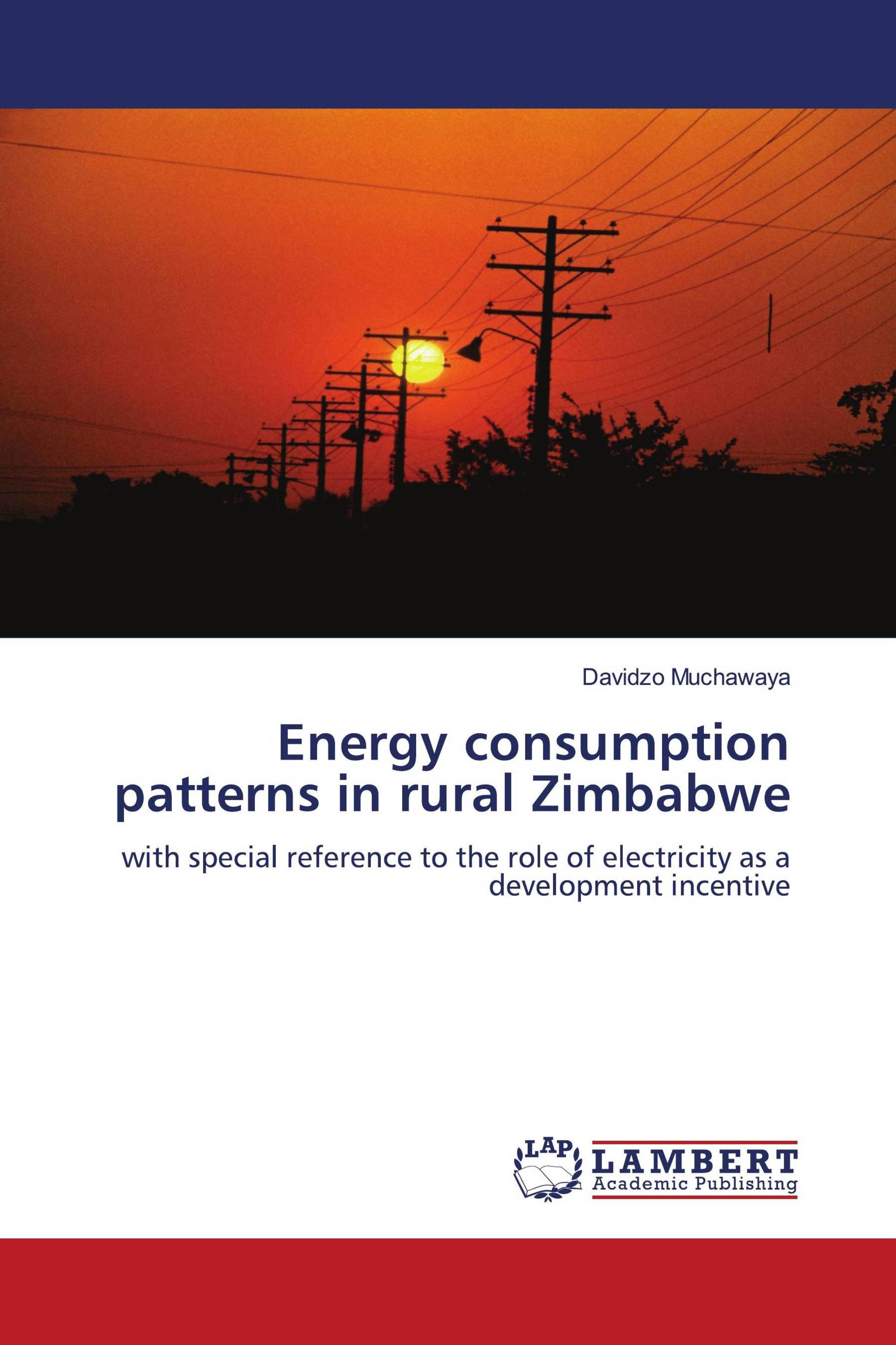 Energy consumption patterns in rural Zimbabwe